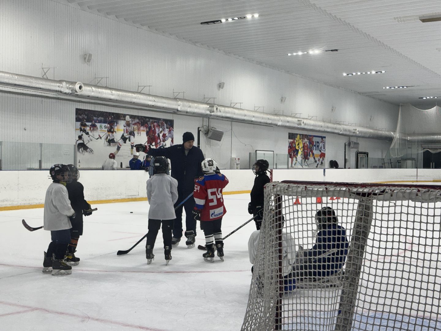 шаховская, хоккей, хоккеисты, тренер по хоккею, вертикалки,