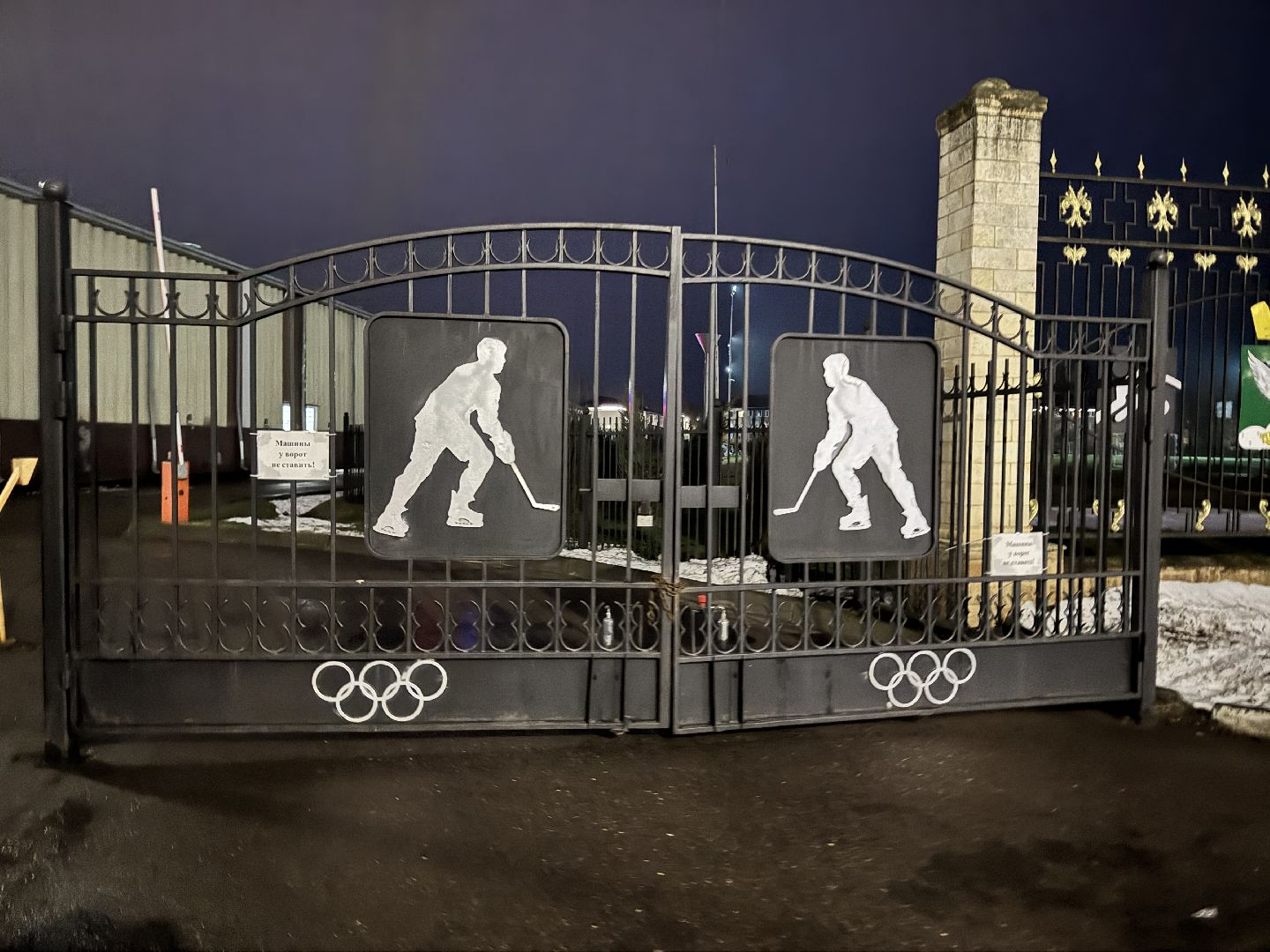 шаховская, хоккей, хоккеисты, тренер по хоккею, вертикалки,