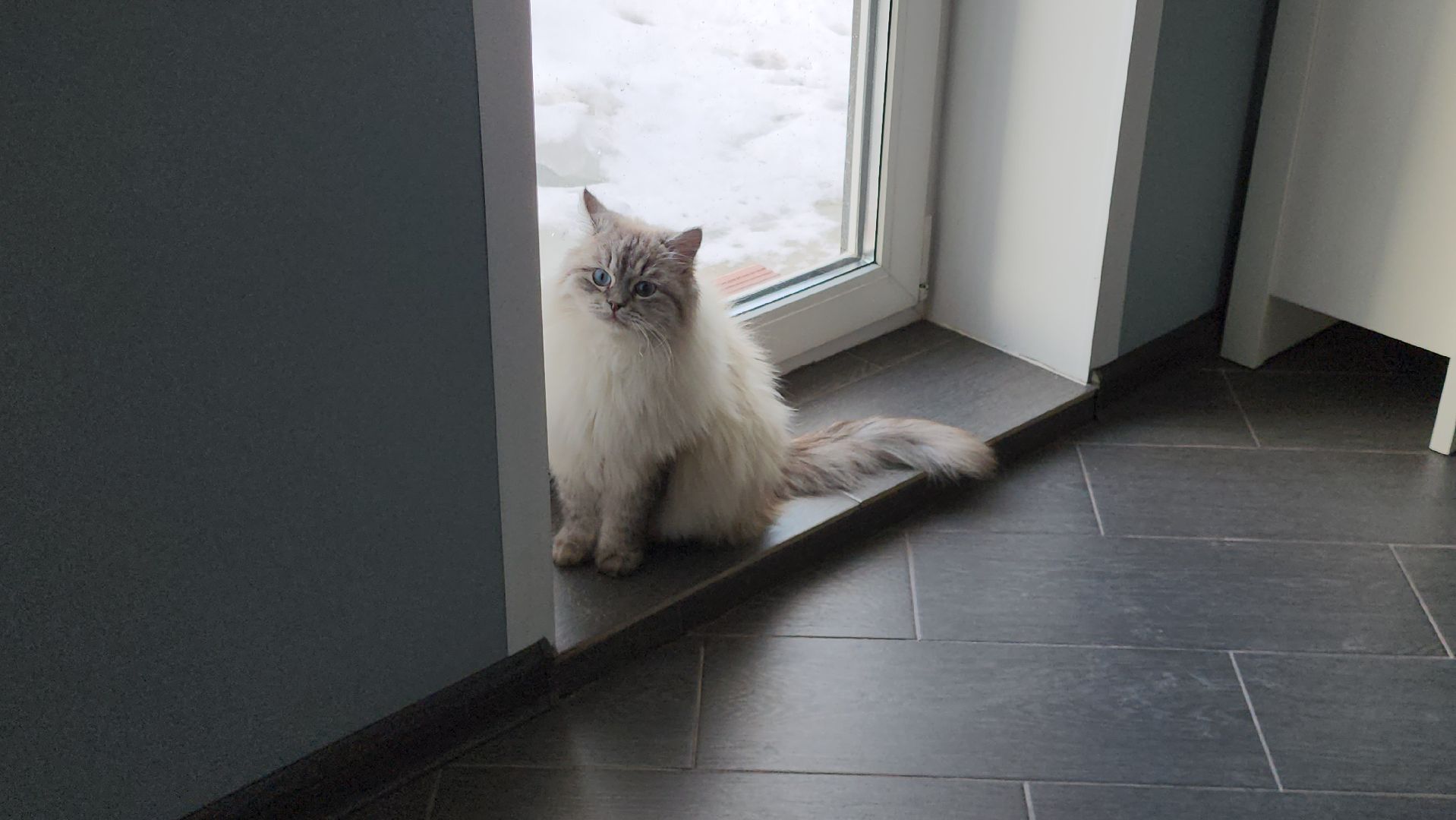 Теннис, Спорт, Истра, вертикалки,