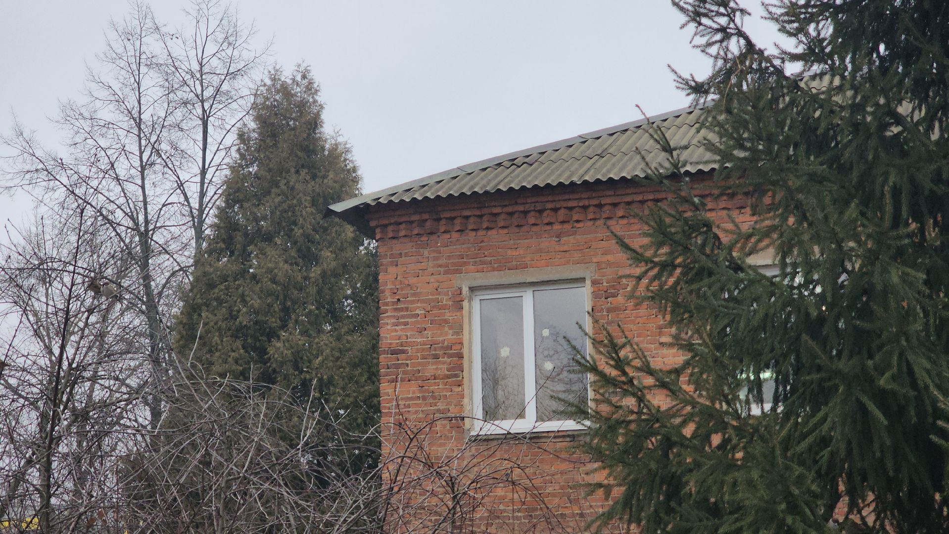 вертикалки, Павловский Посад, образование, ремонт,