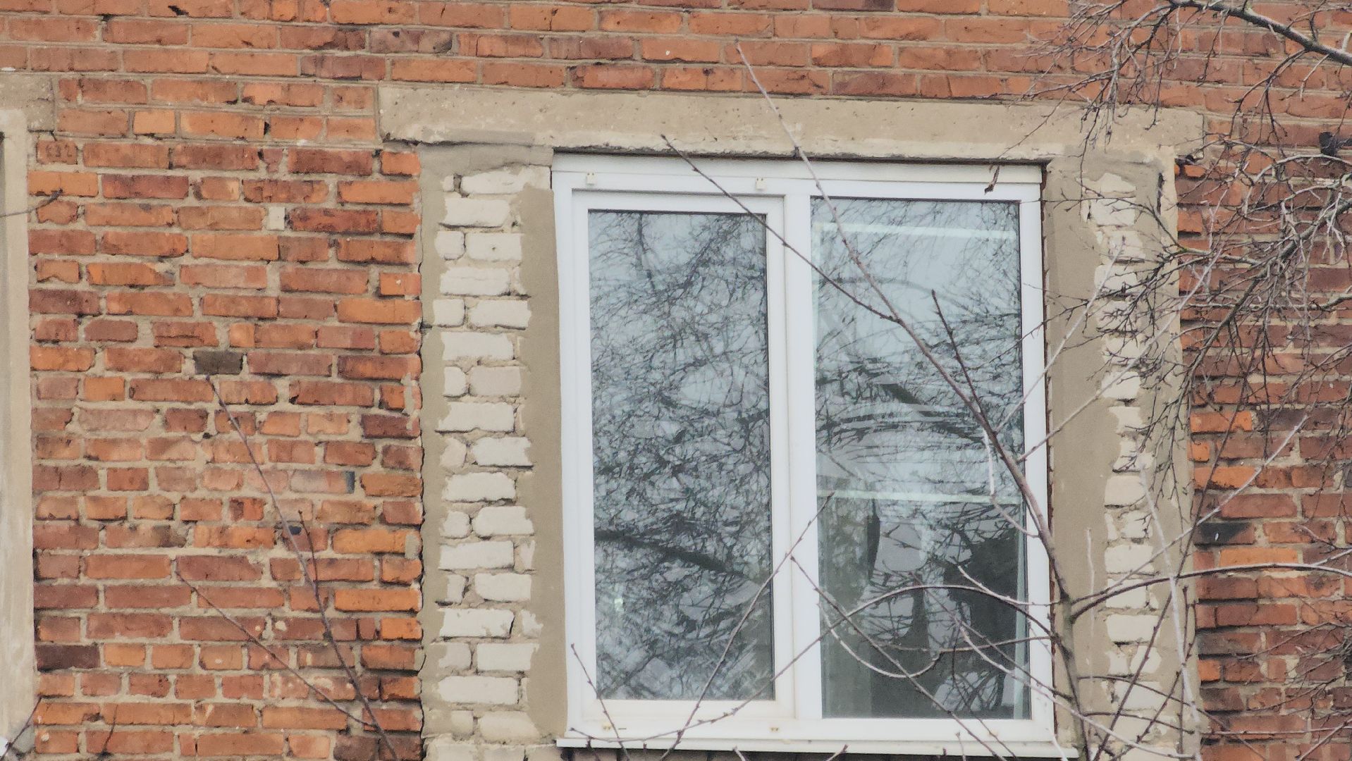 вертикалки, Павловский Посад, образование, ремонт,