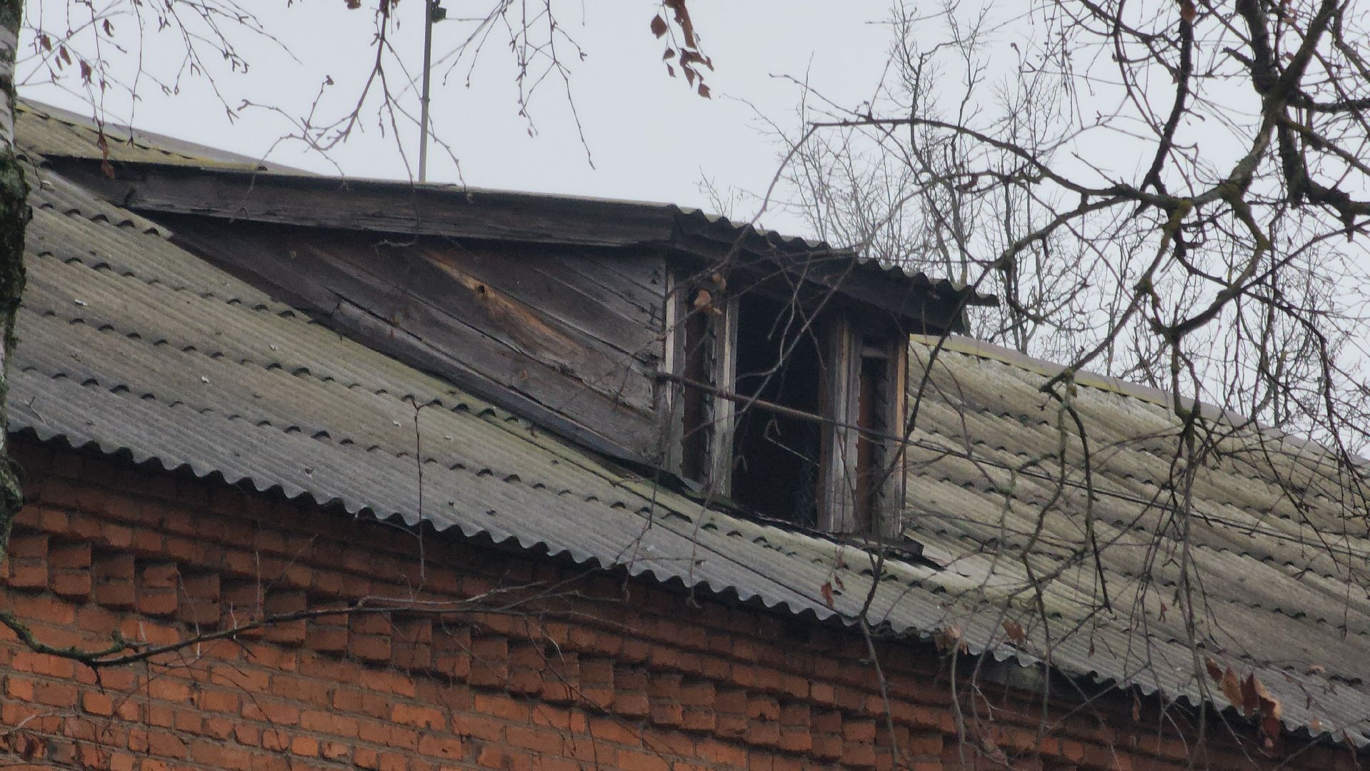 вертикалки, Павловский Посад, образование, ремонт,