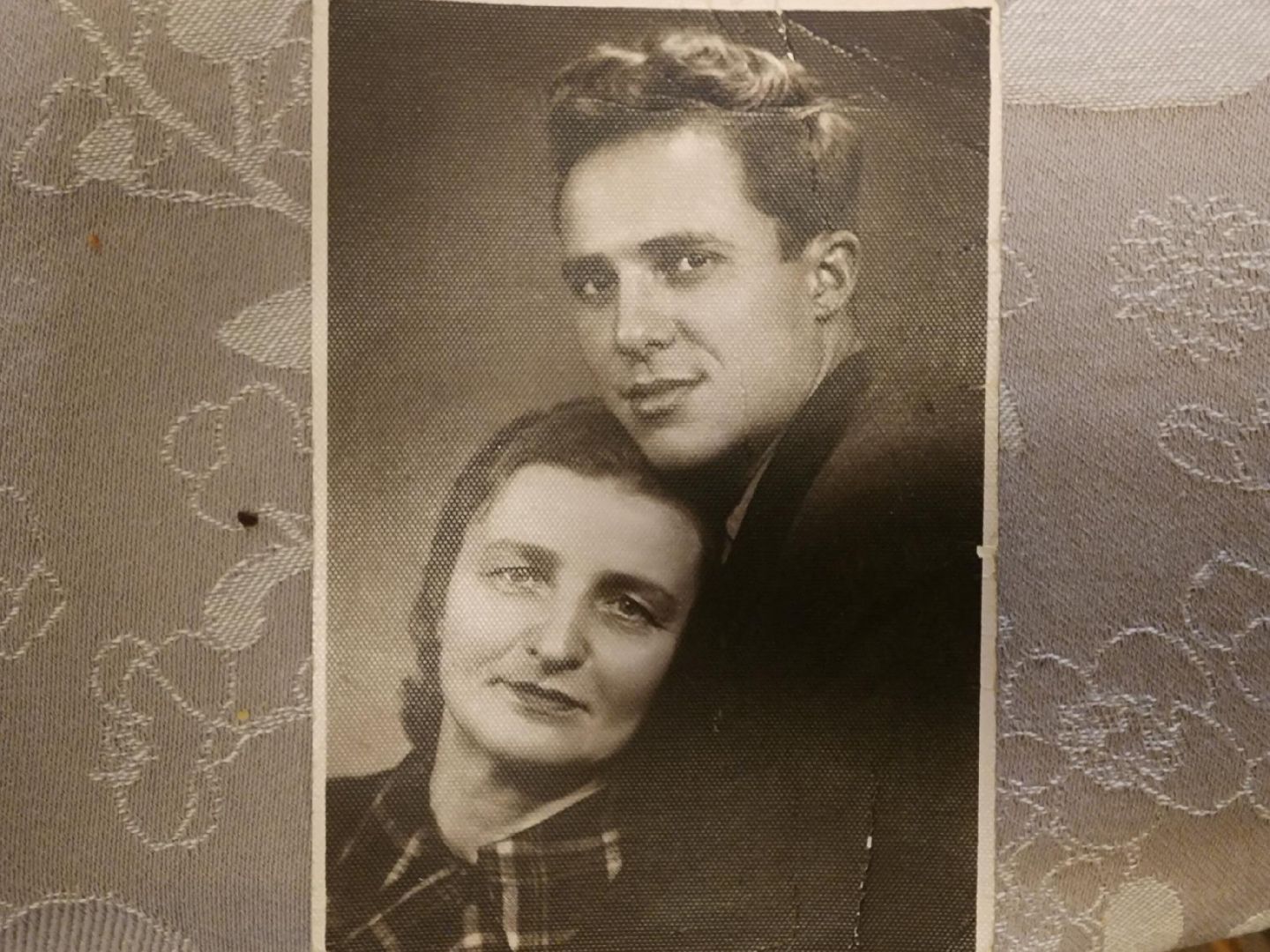 вертикалки, Звенигород, Общество, снятие блокады ленинграда,