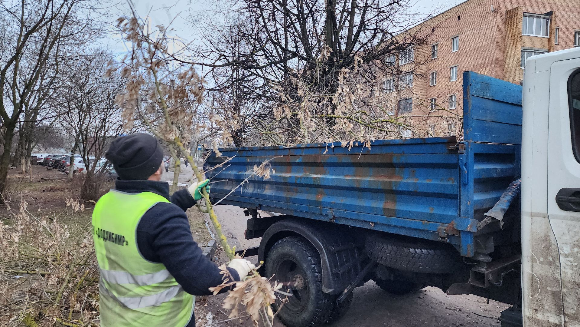 вывоз порубленных деревьев, благоустройство, истра, вертикалка,