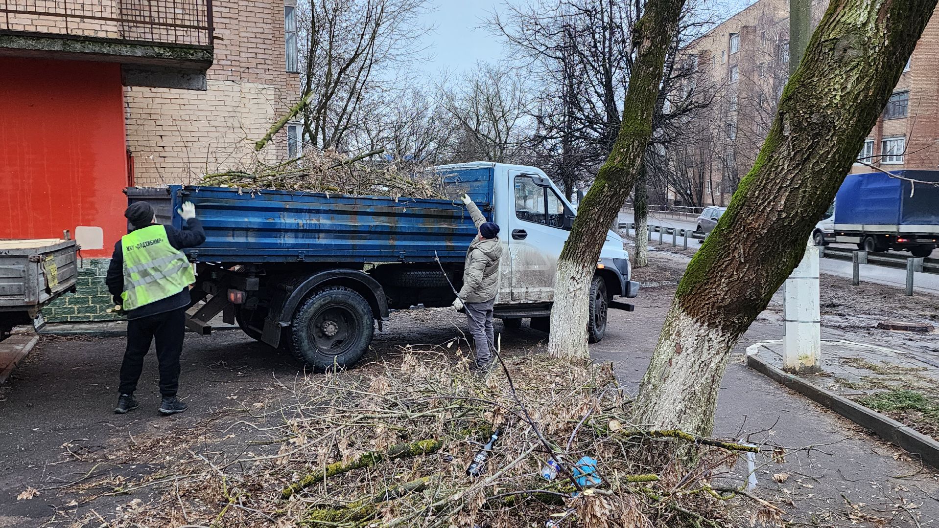 вывоз порубленных деревьев, благоустройство, истра, вертикалка,
