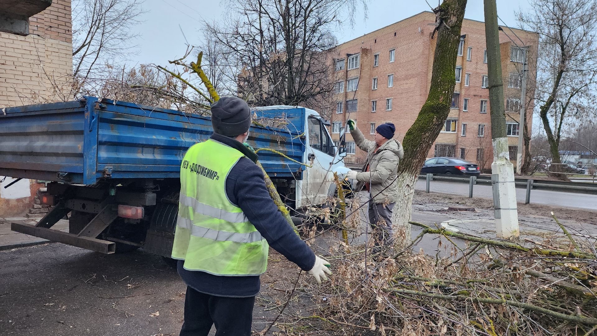 вывоз порубленных деревьев, благоустройство, истра, вертикалка,