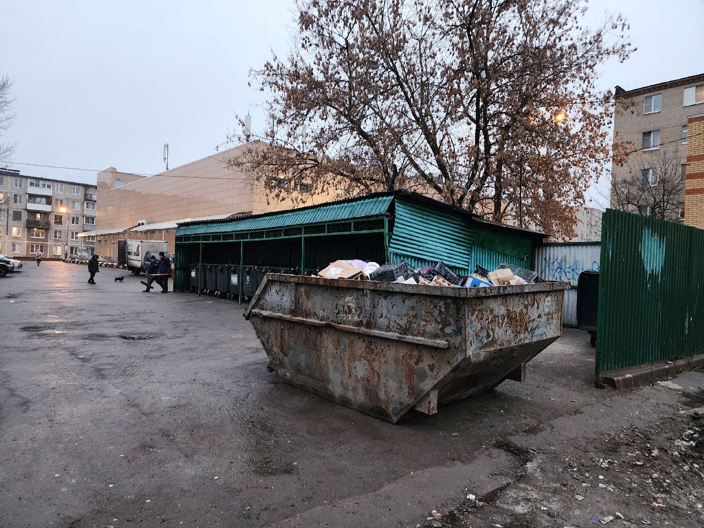 фрязино, вывоз мусора, контейнерная площадка, отходы, жкх,