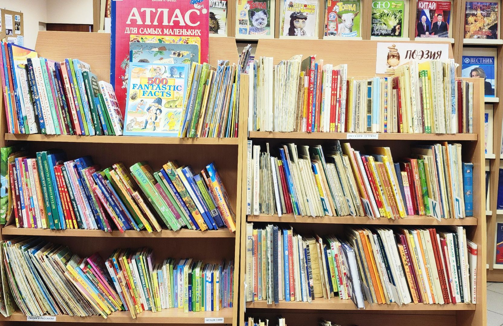 вертикалки, Звенигород, История, Классика мировой литературы, Культура,