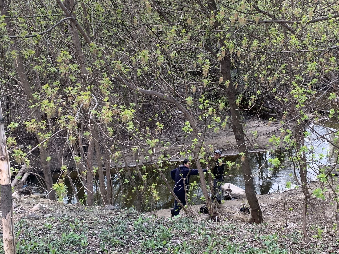 Субботник,Красногорск