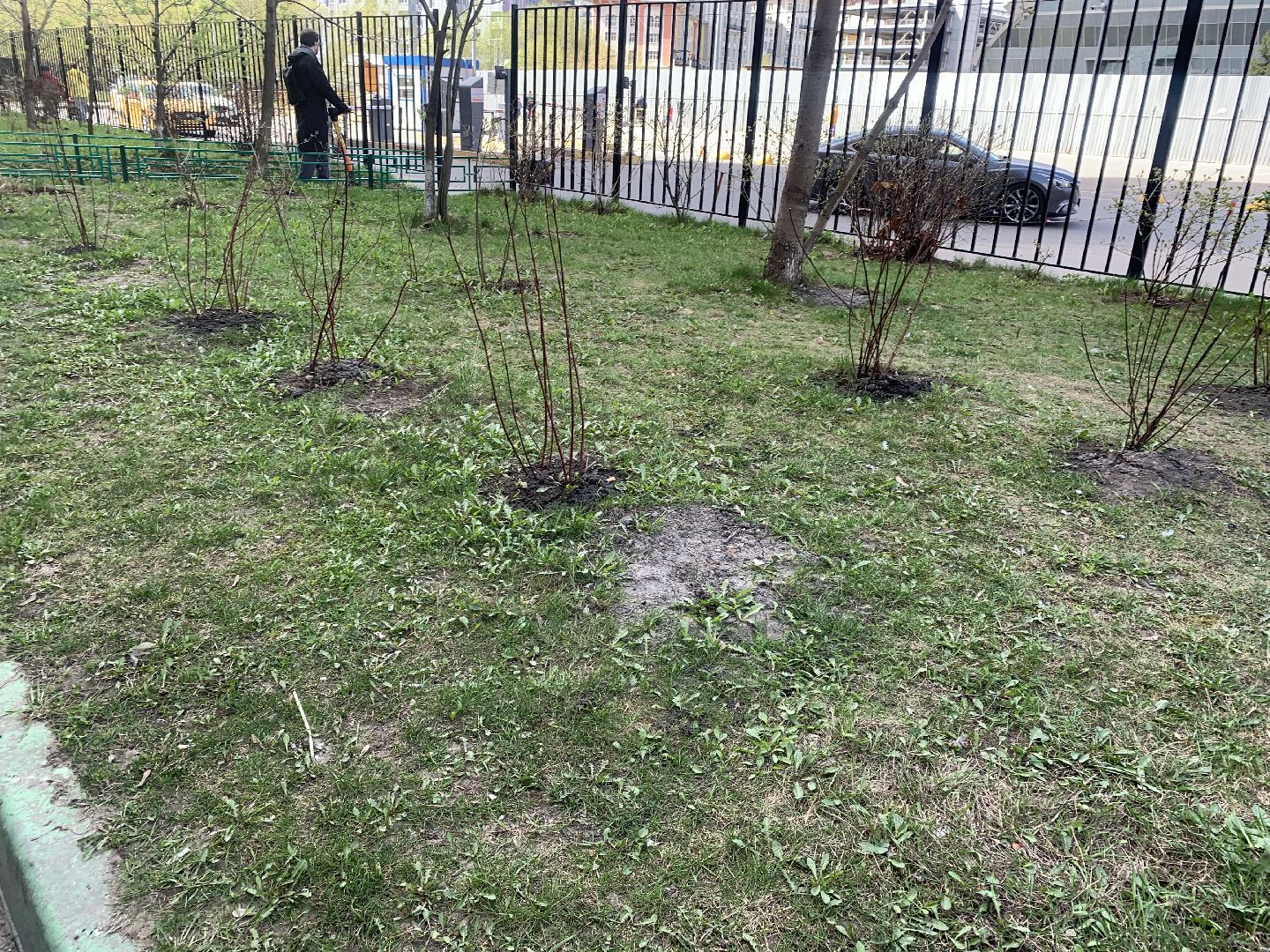 Субботник,Красногорск