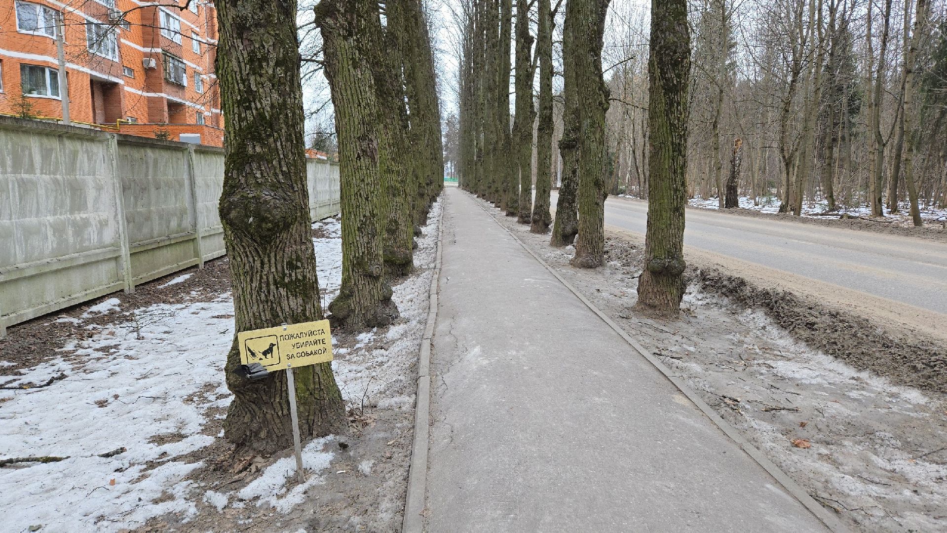 микрорайон Березка, обход территории, коммунальные службы, уборка территории, Власиха улица Южная, вертикалки,