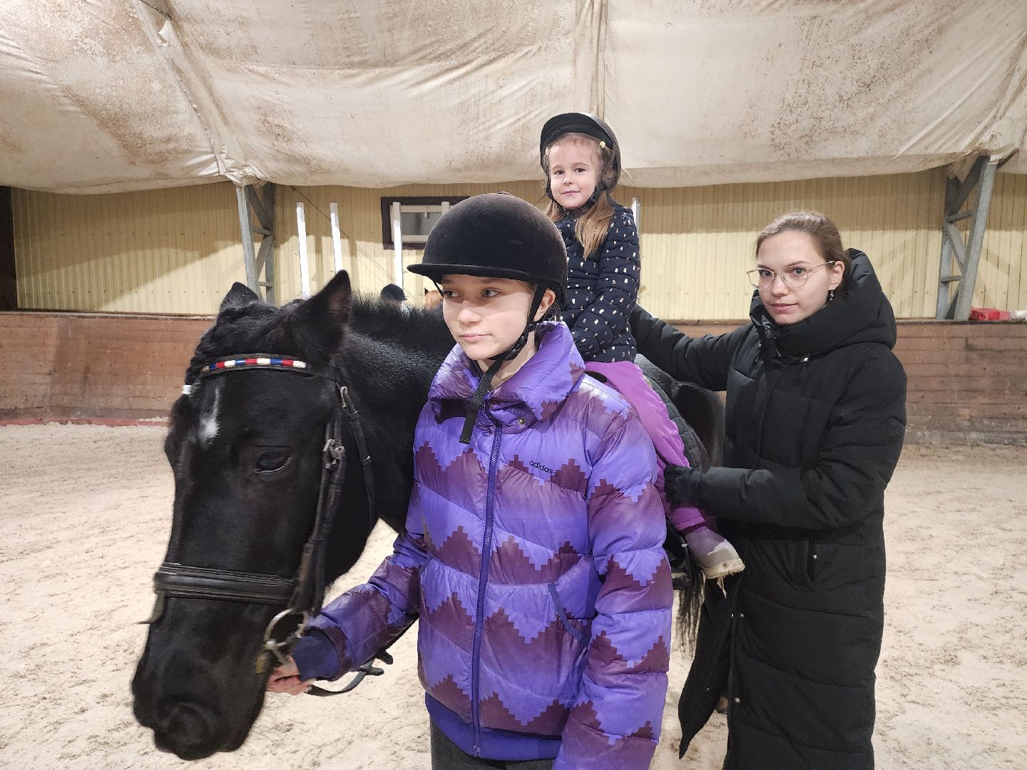 котельники, сшор белка, лошади, конюшня, катание на лошадях, вертикалки,