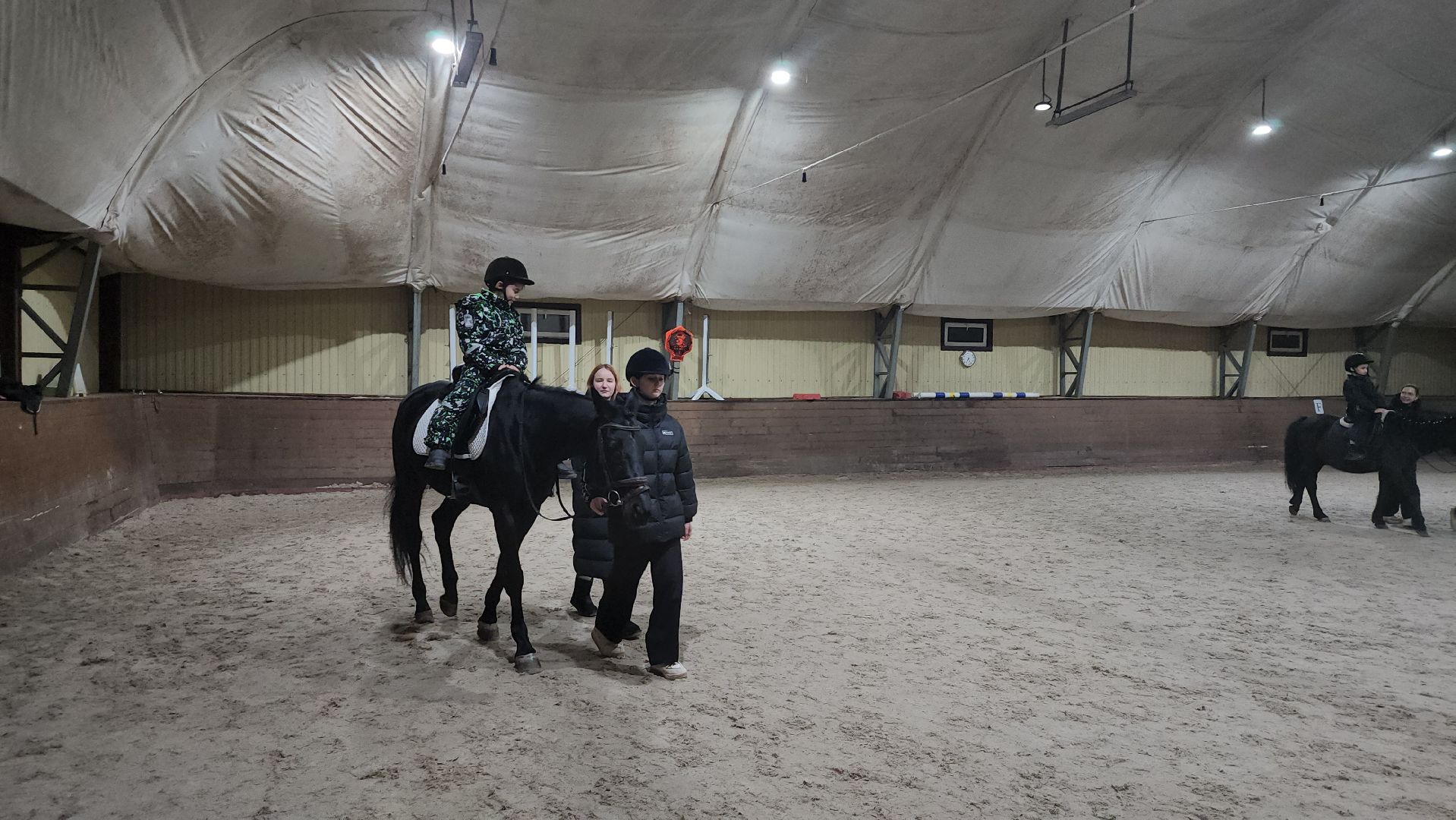 котельники, сшор белка, лошади, конюшня, катание на лошадях, вертикалки,