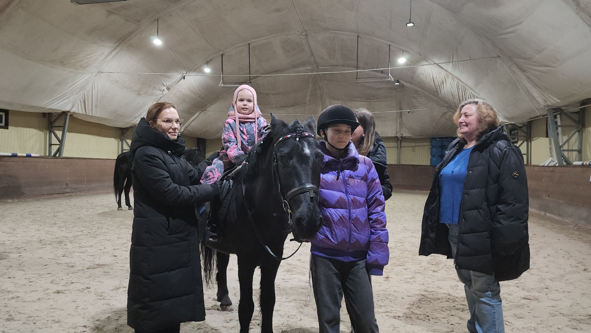 котельники, сшор белка, лошади, конюшня, катание на лошадях, вертикалки,