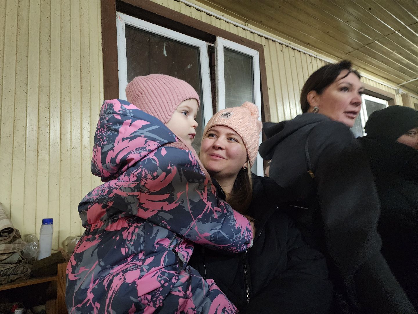 котельники, сшор белка, лошади, конюшня, катание на лошадях, вертикалки,