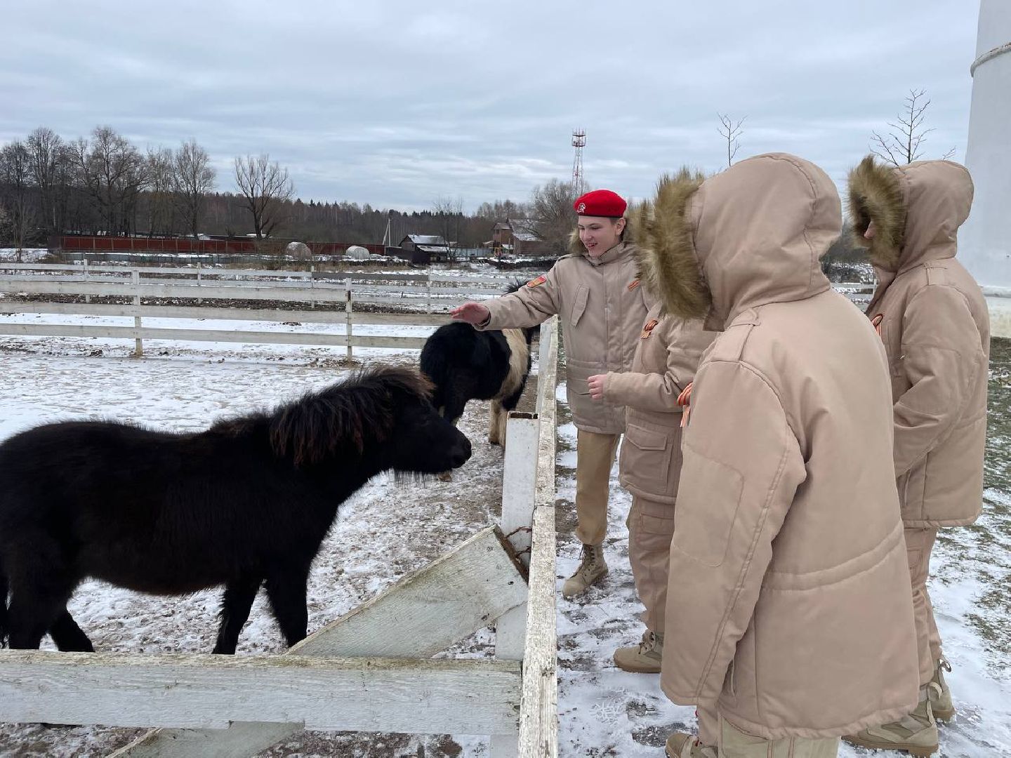 Дмитров, Николо-Пешношский монастырь, Зоопарк, вертикалки,