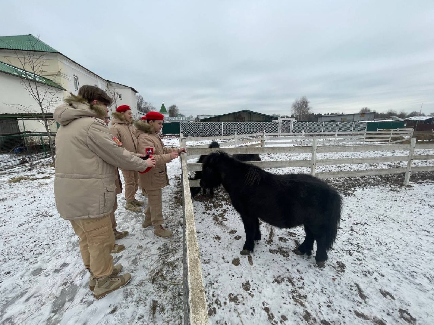 Дмитров, Николо-Пешношский монастырь, Зоопарк, вертикалки,