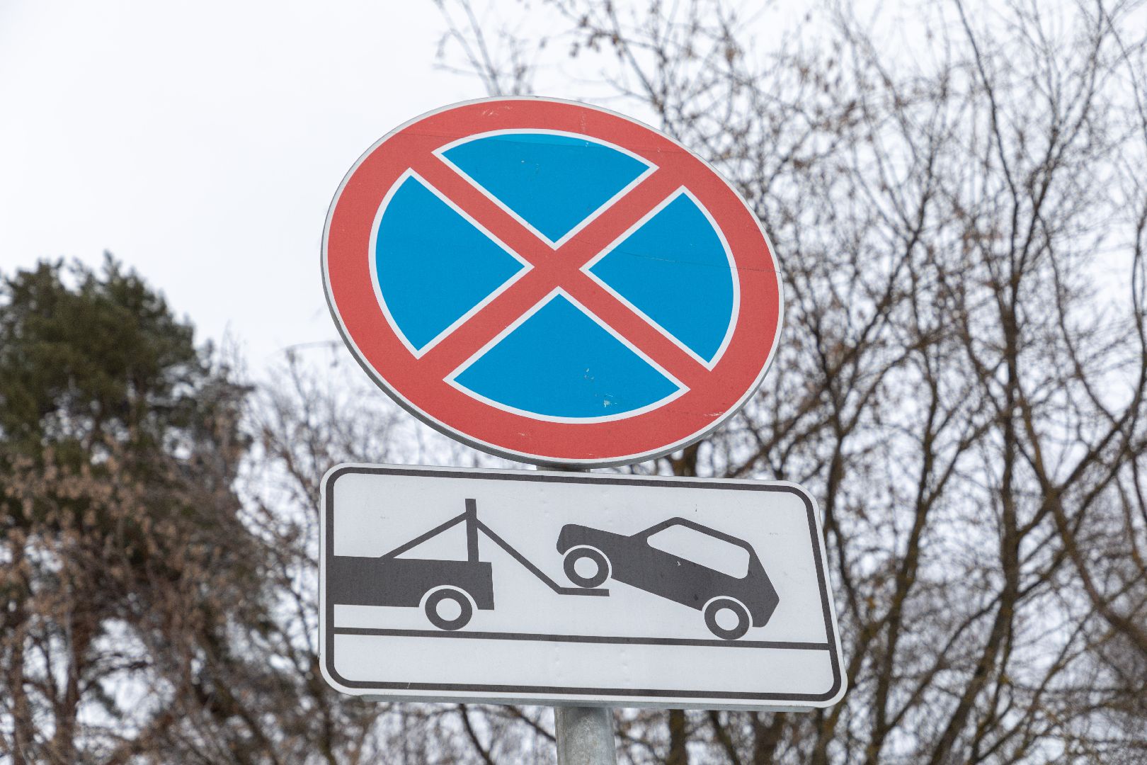 авто, лыткарино, рейд гибдд,