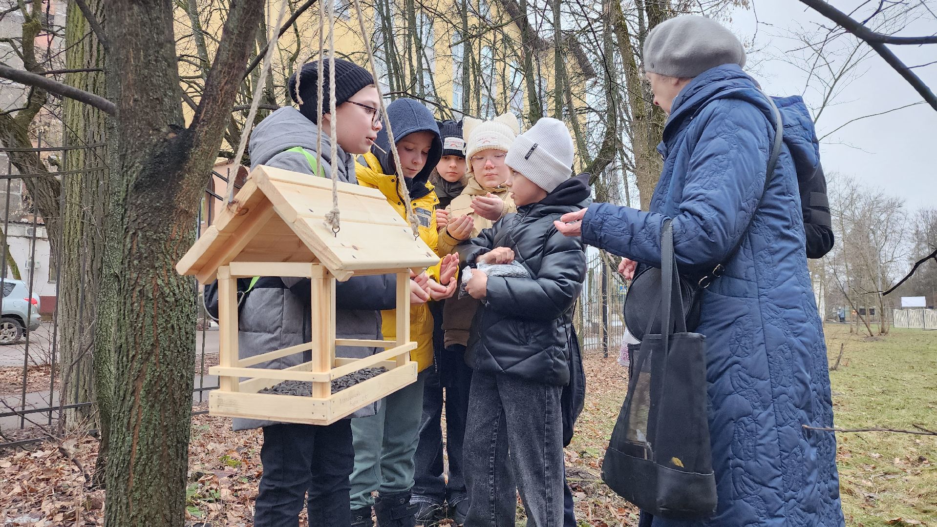 экоакция, Помоги зимующим птицам,экологическая акция, Ногинск, Богородский городской округ,