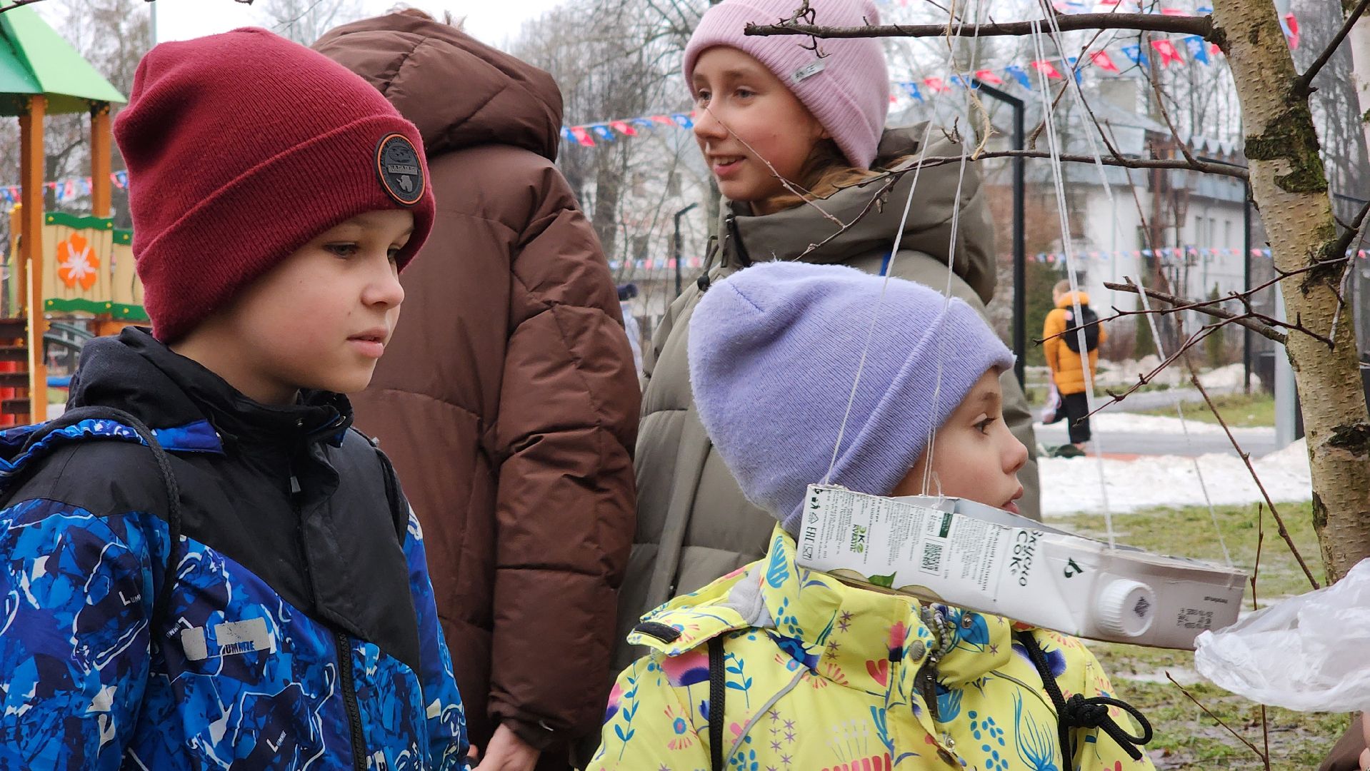 экоакция, Помоги зимующим птицам,экологическая акция, Ногинск, Богородский городской округ,