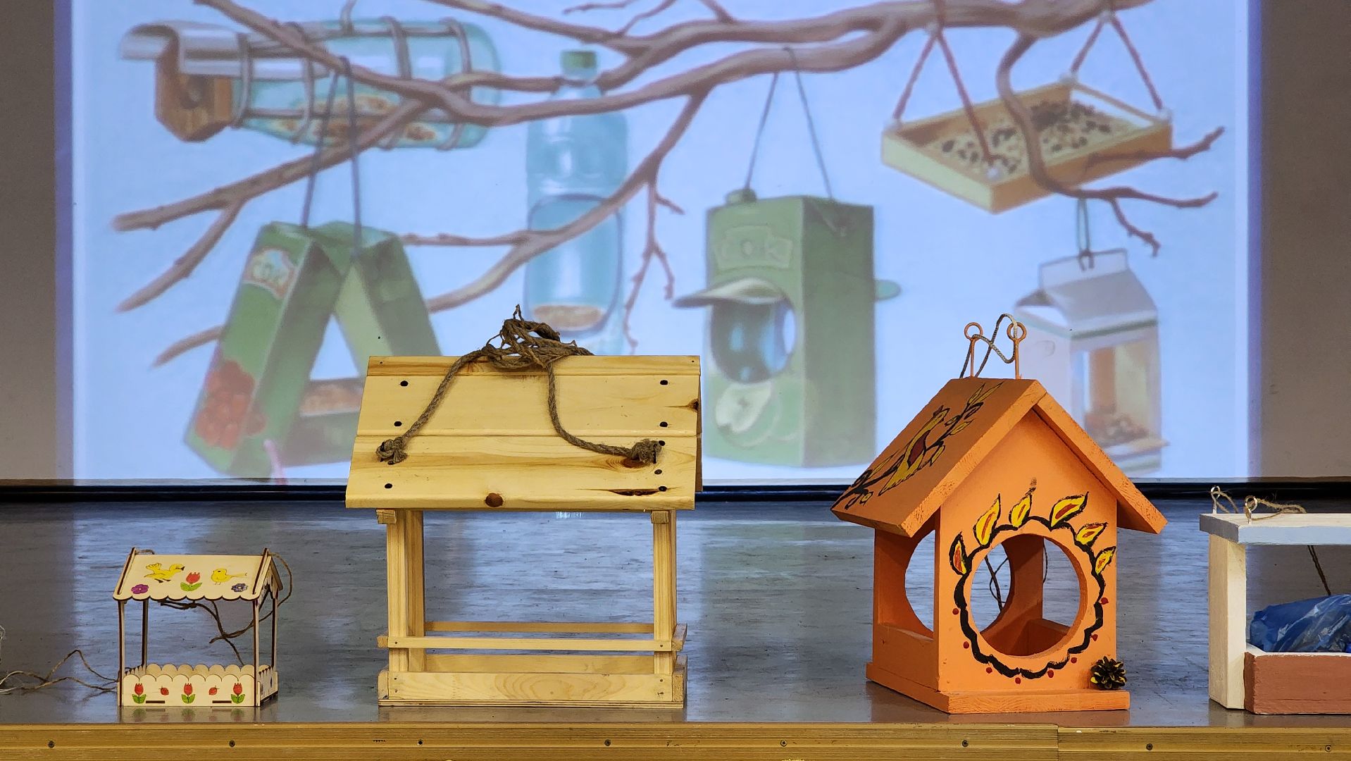 экоакция, Помоги зимующим птицам,экологическая акция, Ногинск, Богородский городской округ,