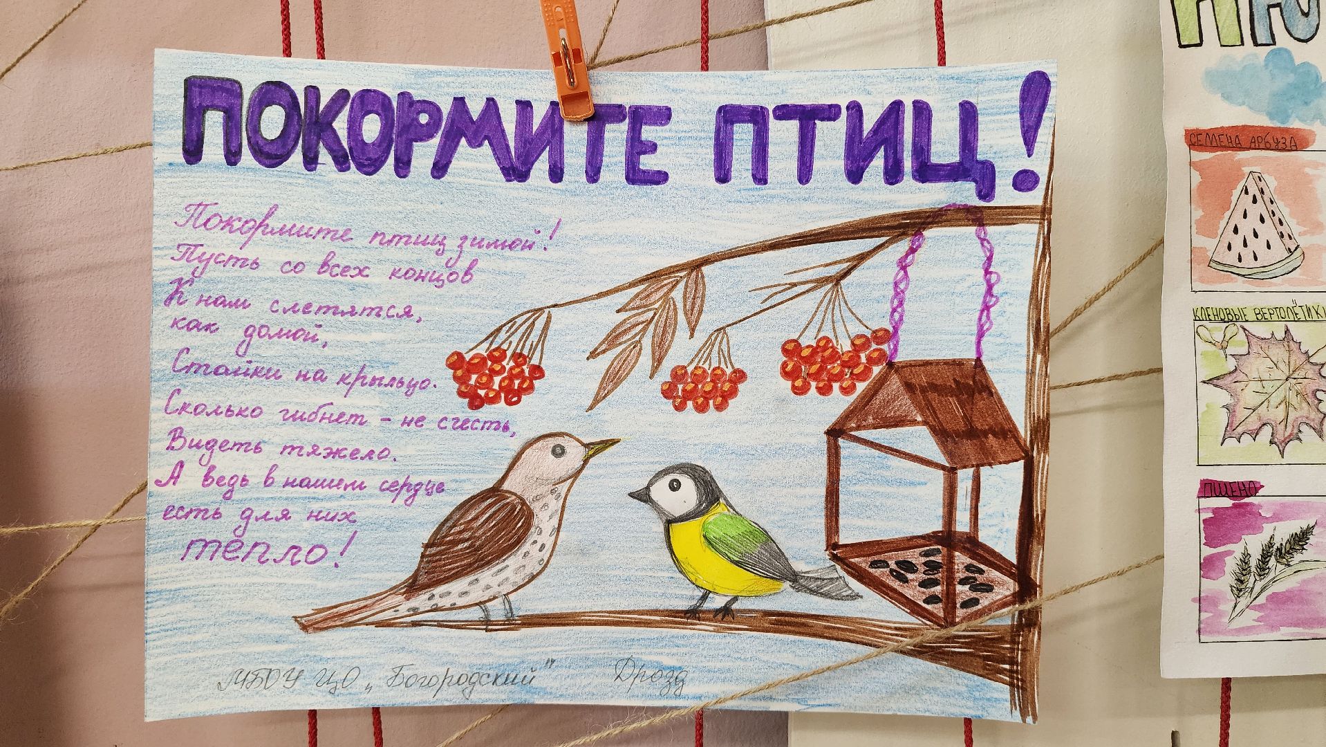 экоакция, Помоги зимующим птицам,экологическая акция, Ногинск, Богородский городской округ,