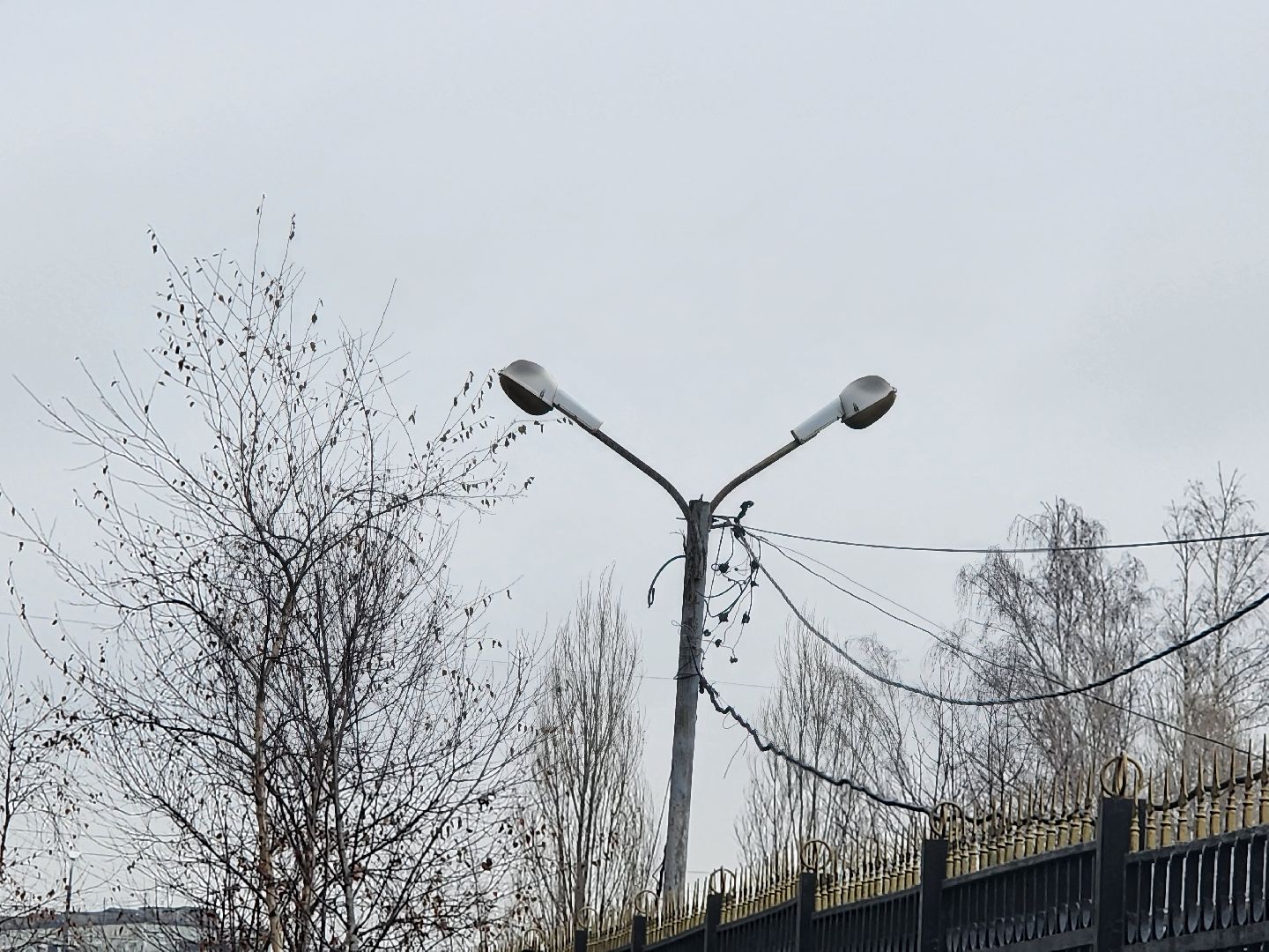 выездная администиация, мытищи, помощь,