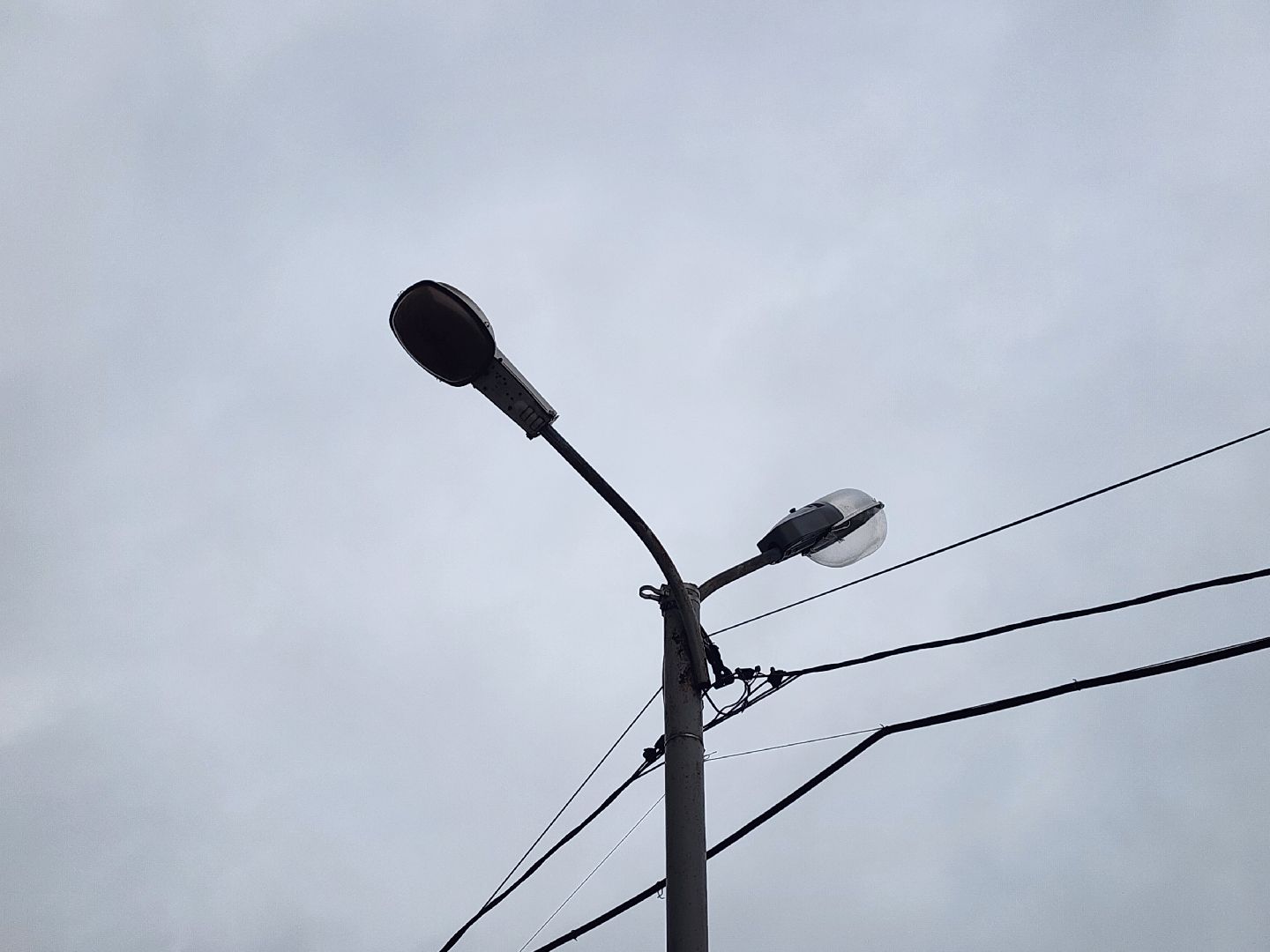 выездная администиация, мытищи, помощь,