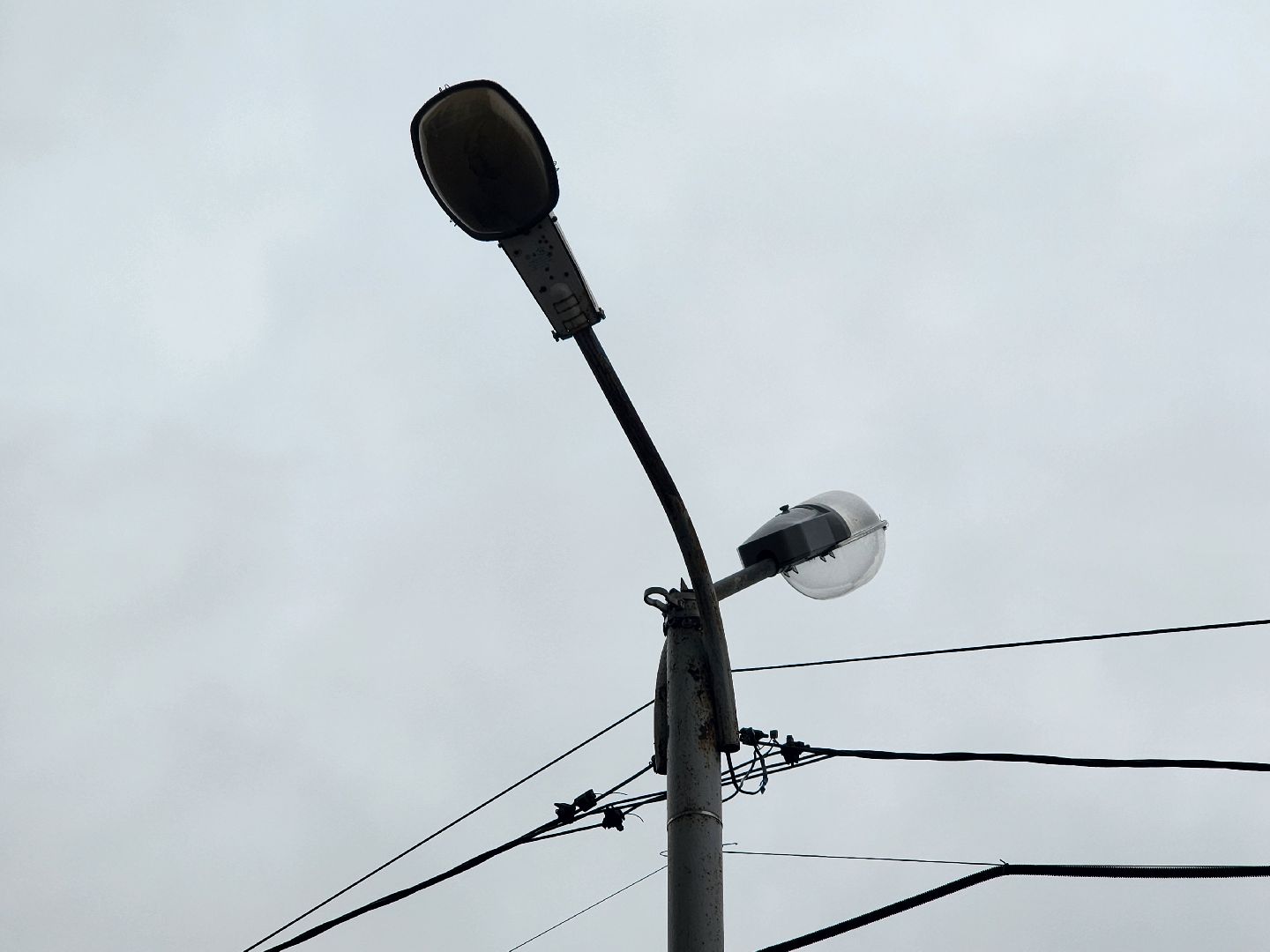 выездная администиация, мытищи, помощь,