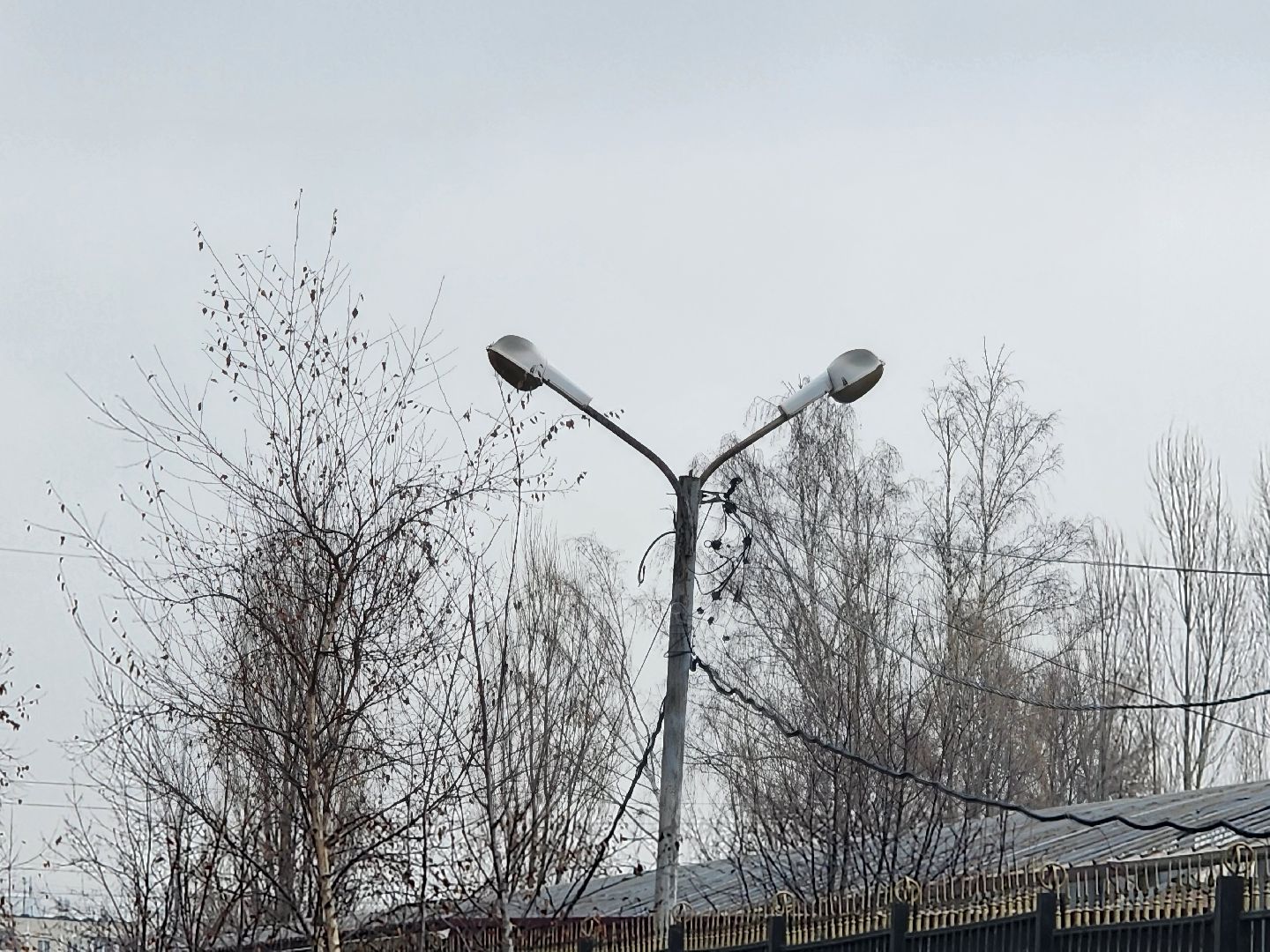 выездная администиация, мытищи, помощь,