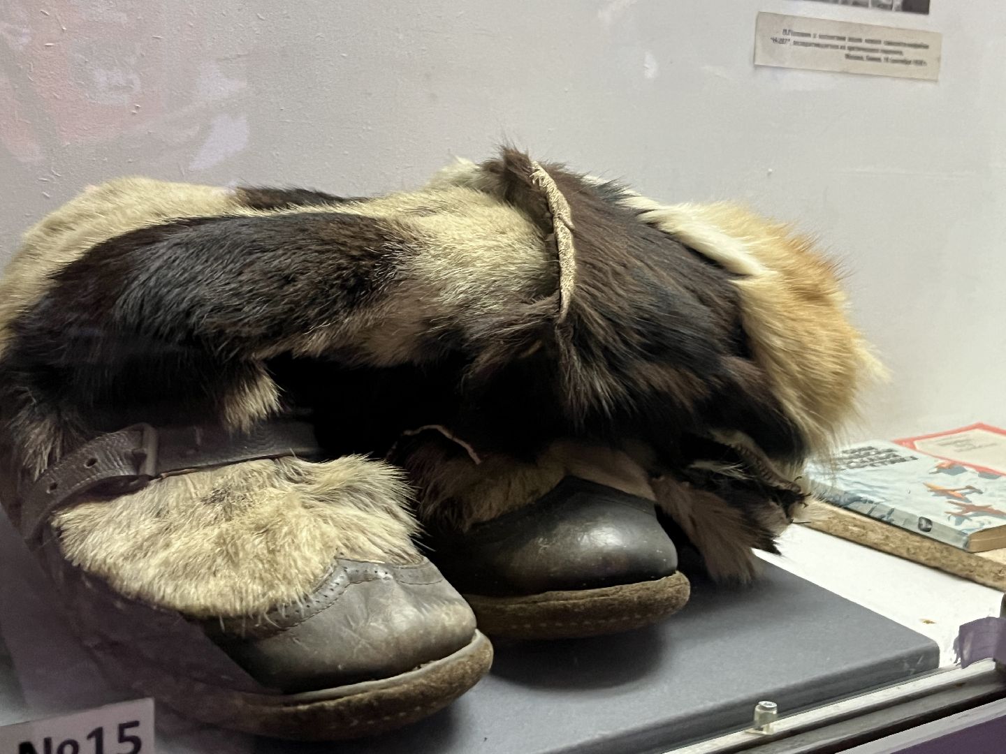 вертикалки, наро-фоминск, наро-фоминский музей, павел головин, день первооткрывателя, освоение Севера, Северный полюс, наро-фоминский городской округ,