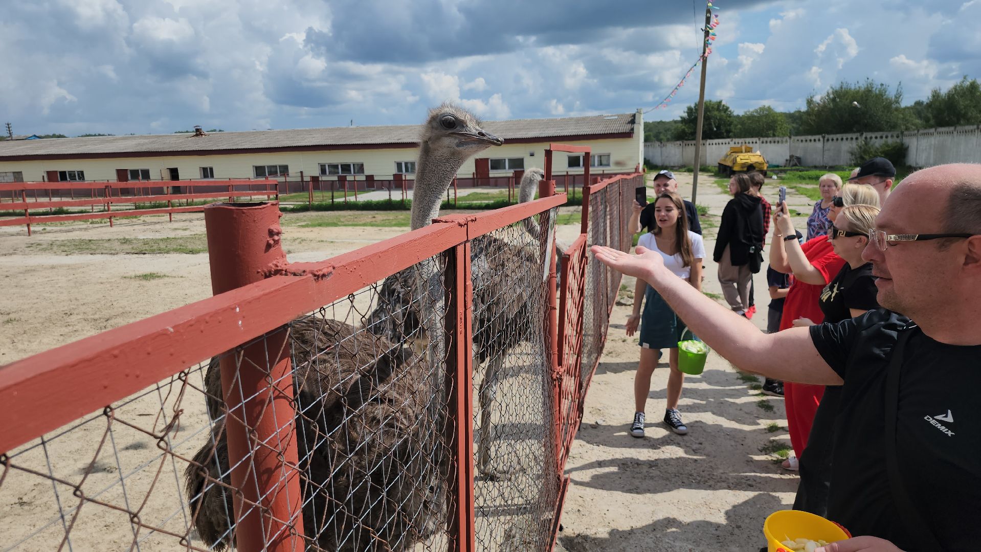 серпухов, подмосковье, дом мороженого, музей кукол,