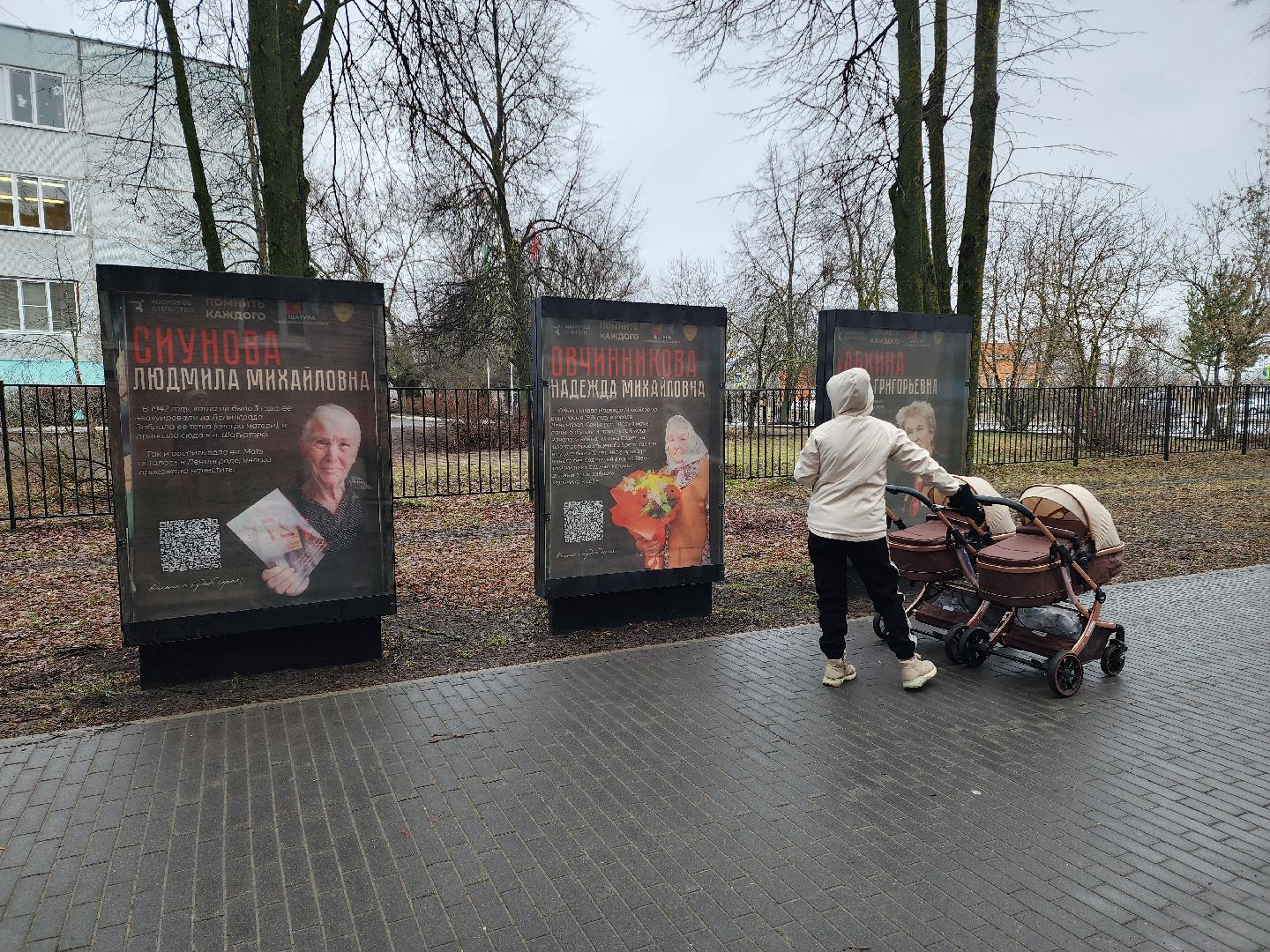 вертикалки, ветераны, молодежный парламент, кцсоир шатурский,день победы,