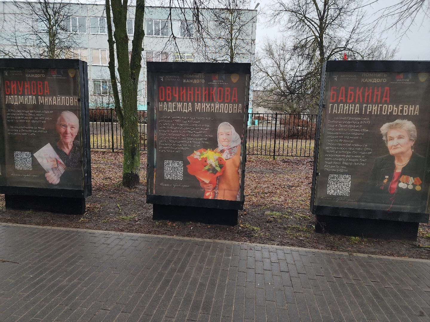 вертикалки, ветераны, молодежный парламент, кцсоир шатурский,день победы,