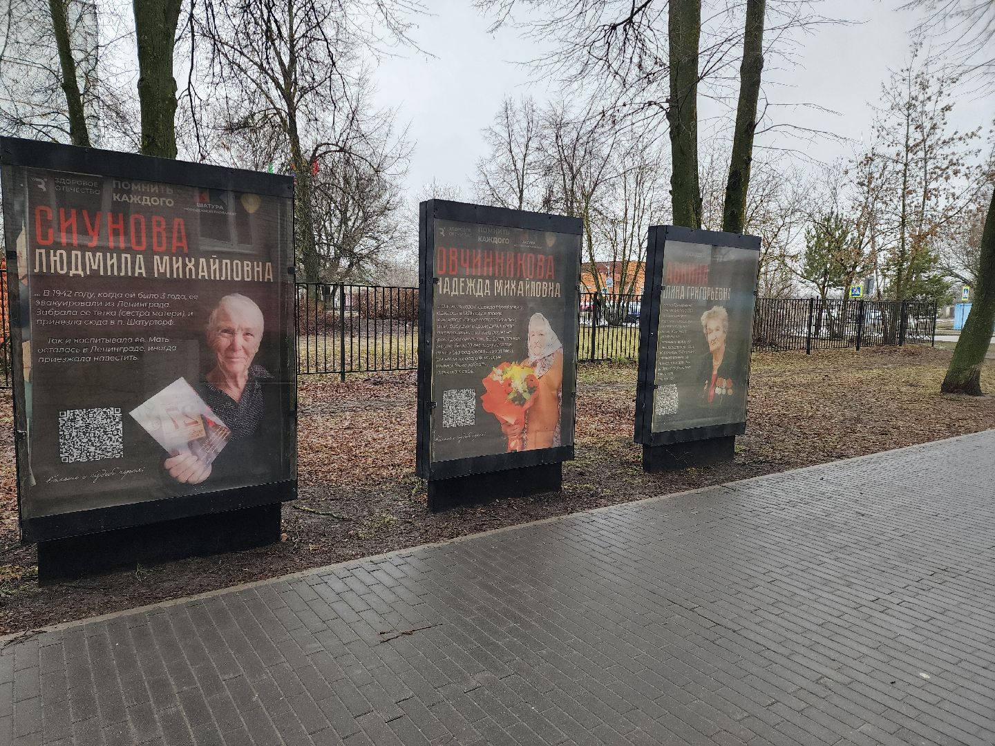 вертикалки, ветераны, молодежный парламент, кцсоир шатурский,день победы,