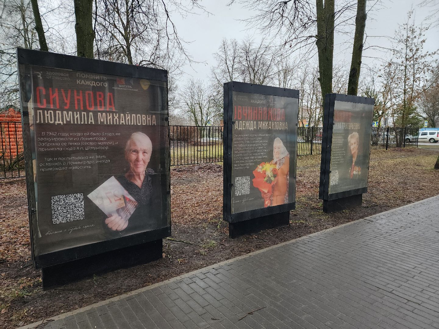 вертикалки, ветераны, молодежный парламент, кцсоир шатурский,день победы,