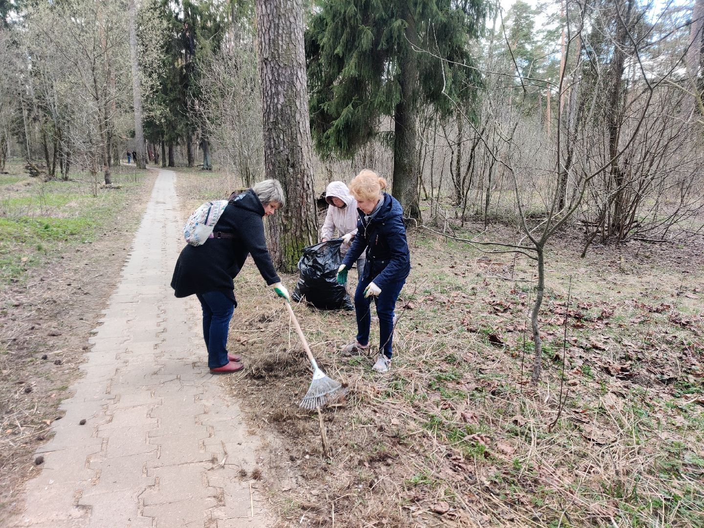 Красноармейск, Пушкинский, субботник, центральная площадка, Банный лес
