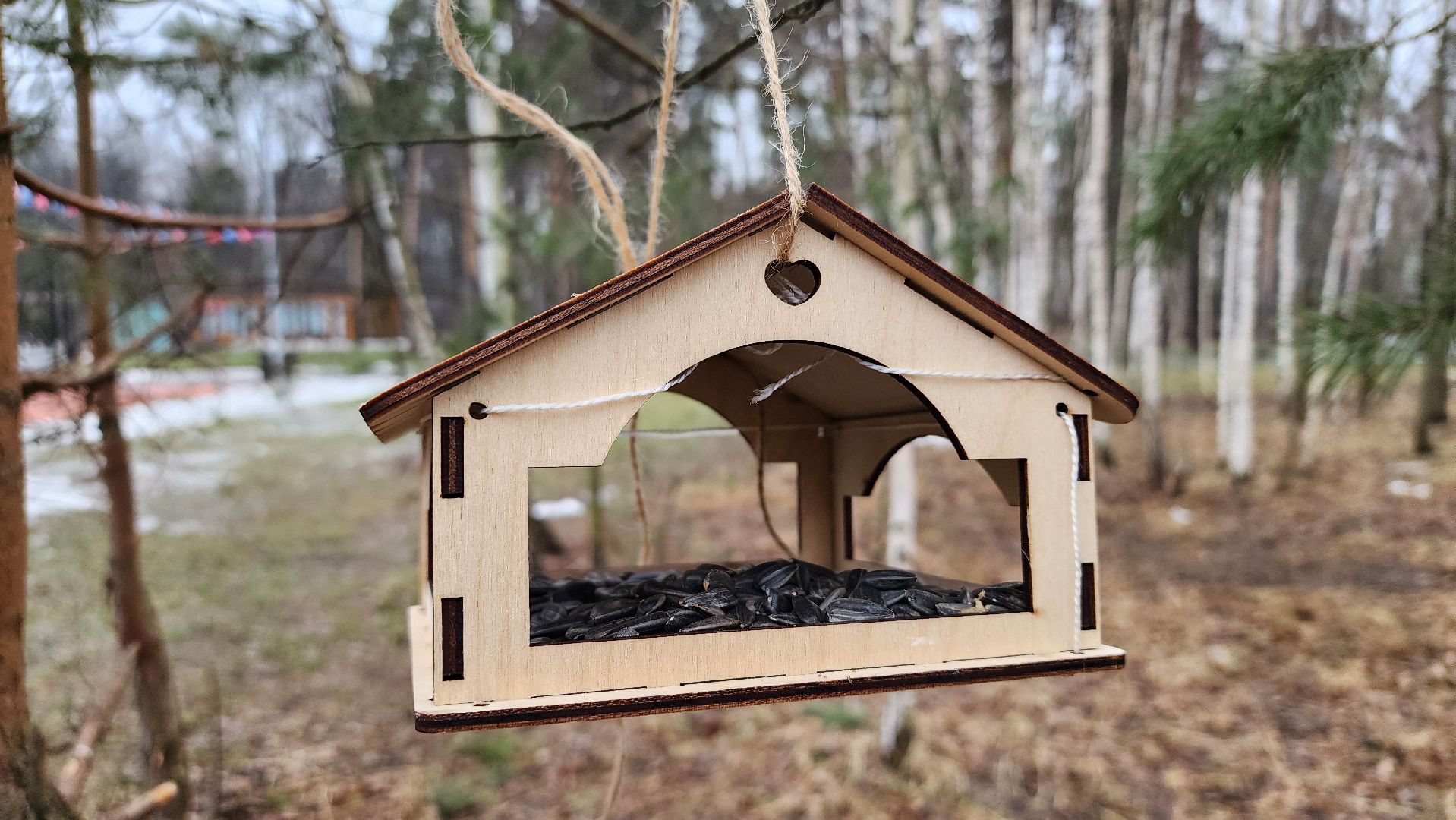 экология, зимующие птицы, корм для птиц, Ногинск, Богородский городской округ,