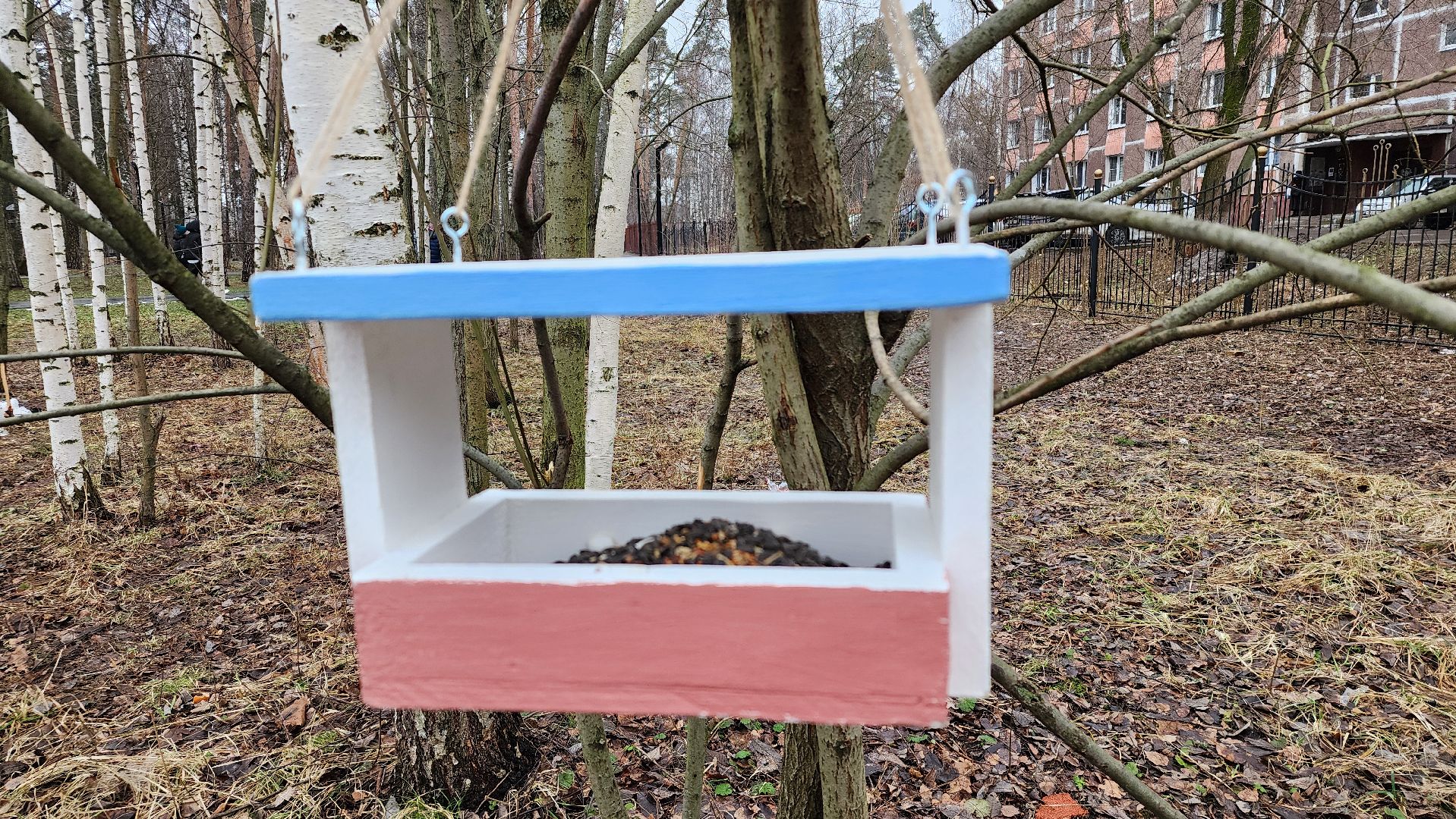 экология, зимующие птицы, корм для птиц, Ногинск, Богородский городской округ,