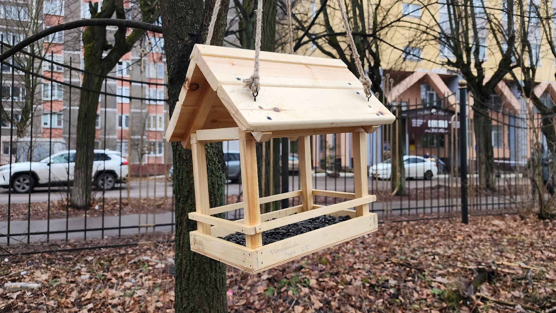 экология, зимующие птицы, корм для птиц, Ногинск, Богородский городской округ,