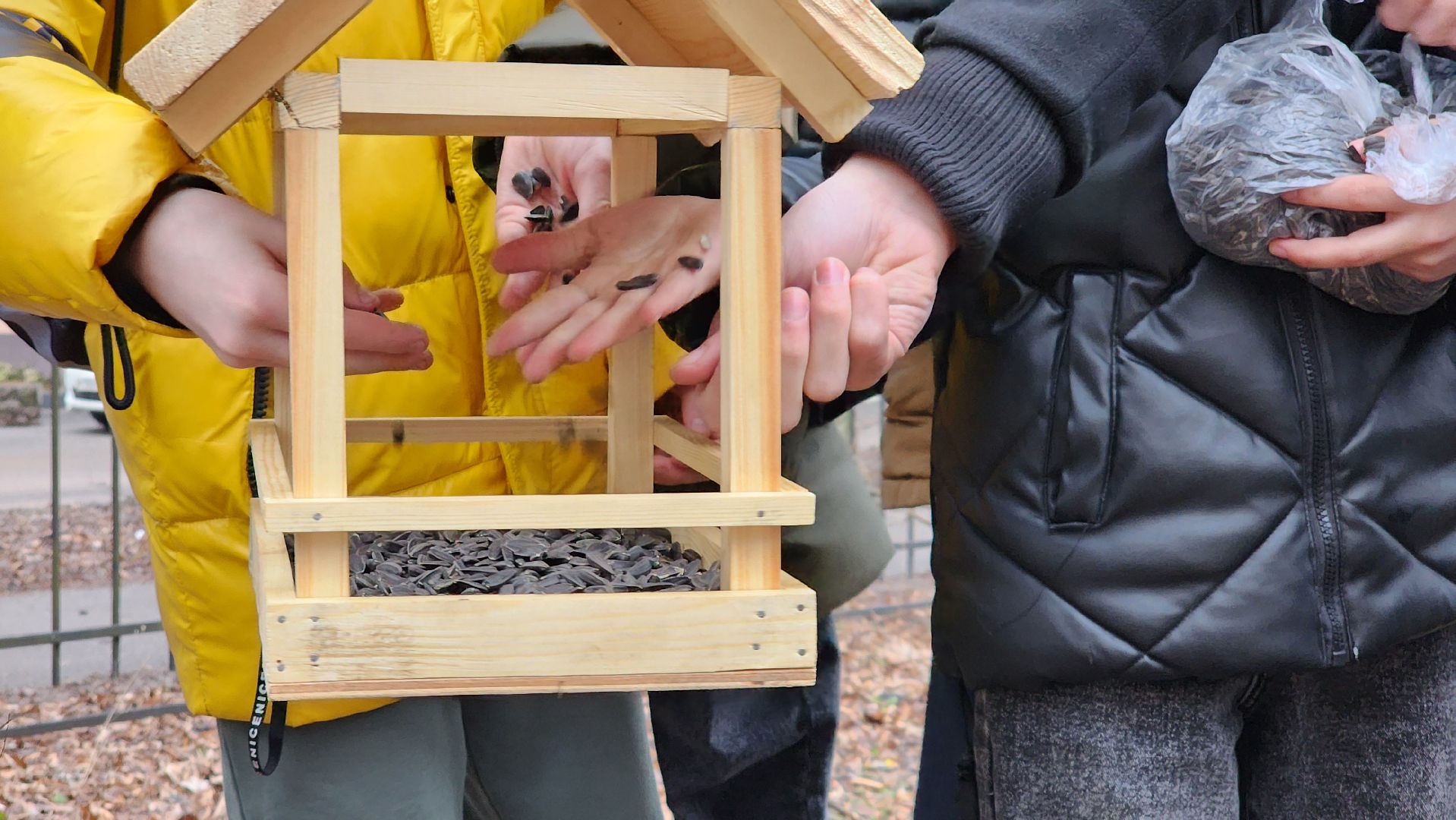 экология, зимующие птицы, корм для птиц, Ногинск, Богородский городской округ,