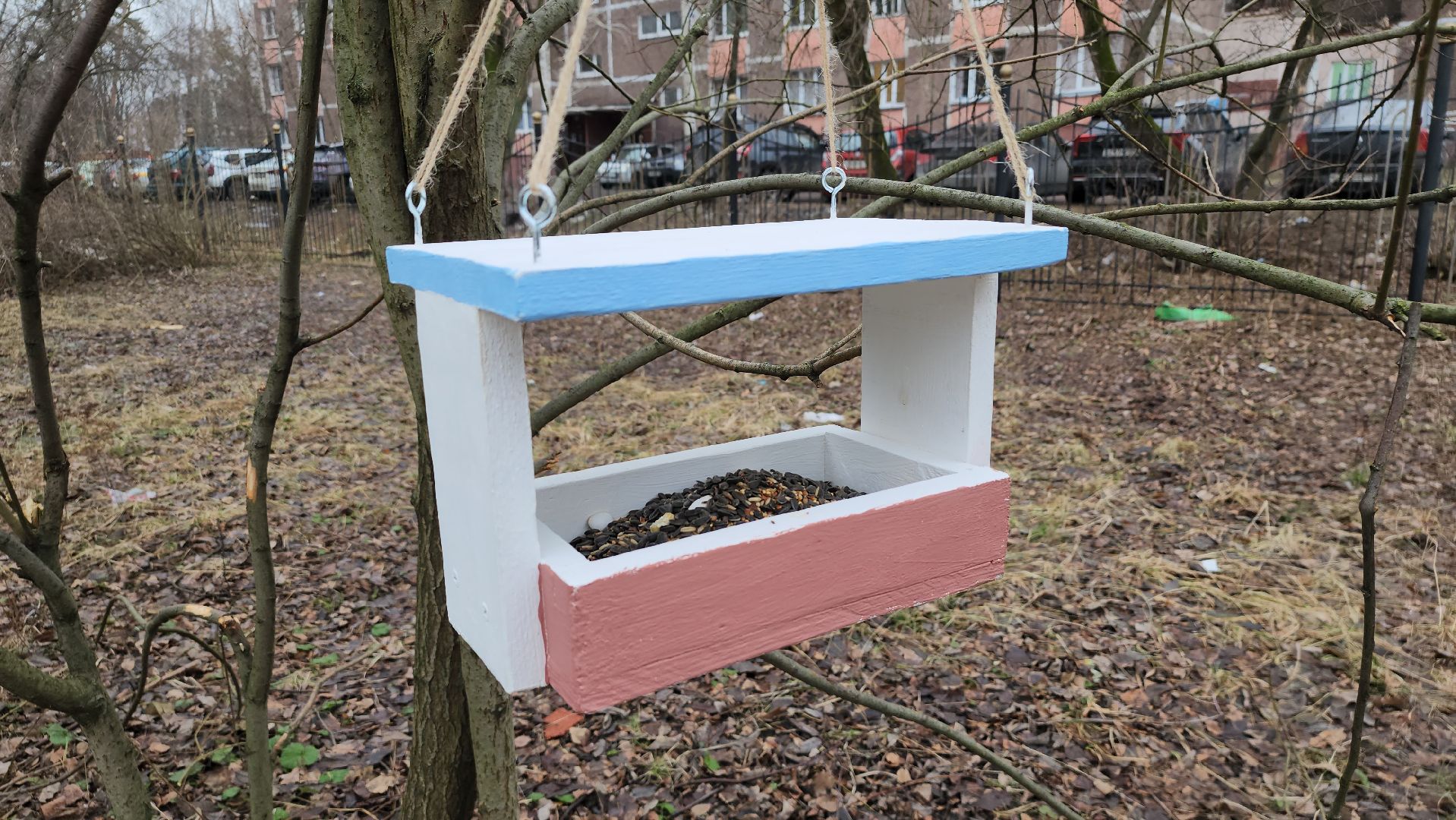экология, зимующие птицы, корм для птиц, Ногинск, Богородский городской округ,