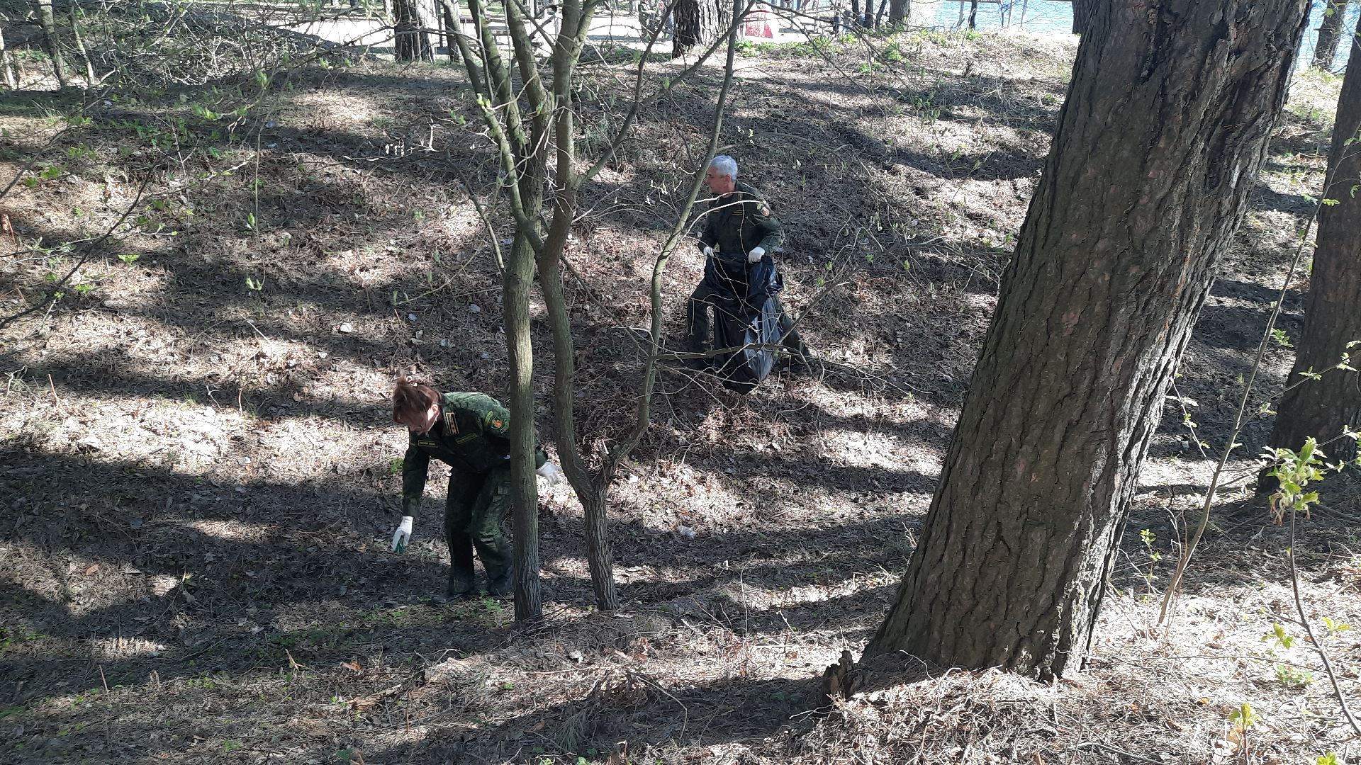 субботник, Мособллес, Вода России, Всероссийский субботник, директор ГКУ МО «Мособллес» Андрей Бобков