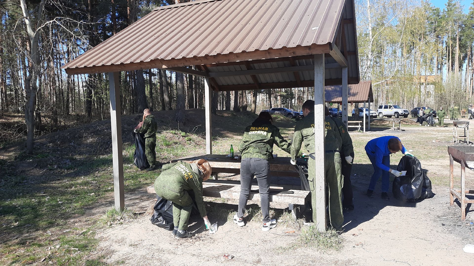 субботник, Мособллес, Вода России, Всероссийский субботник, директор ГКУ МО «Мособллес» Андрей Бобков