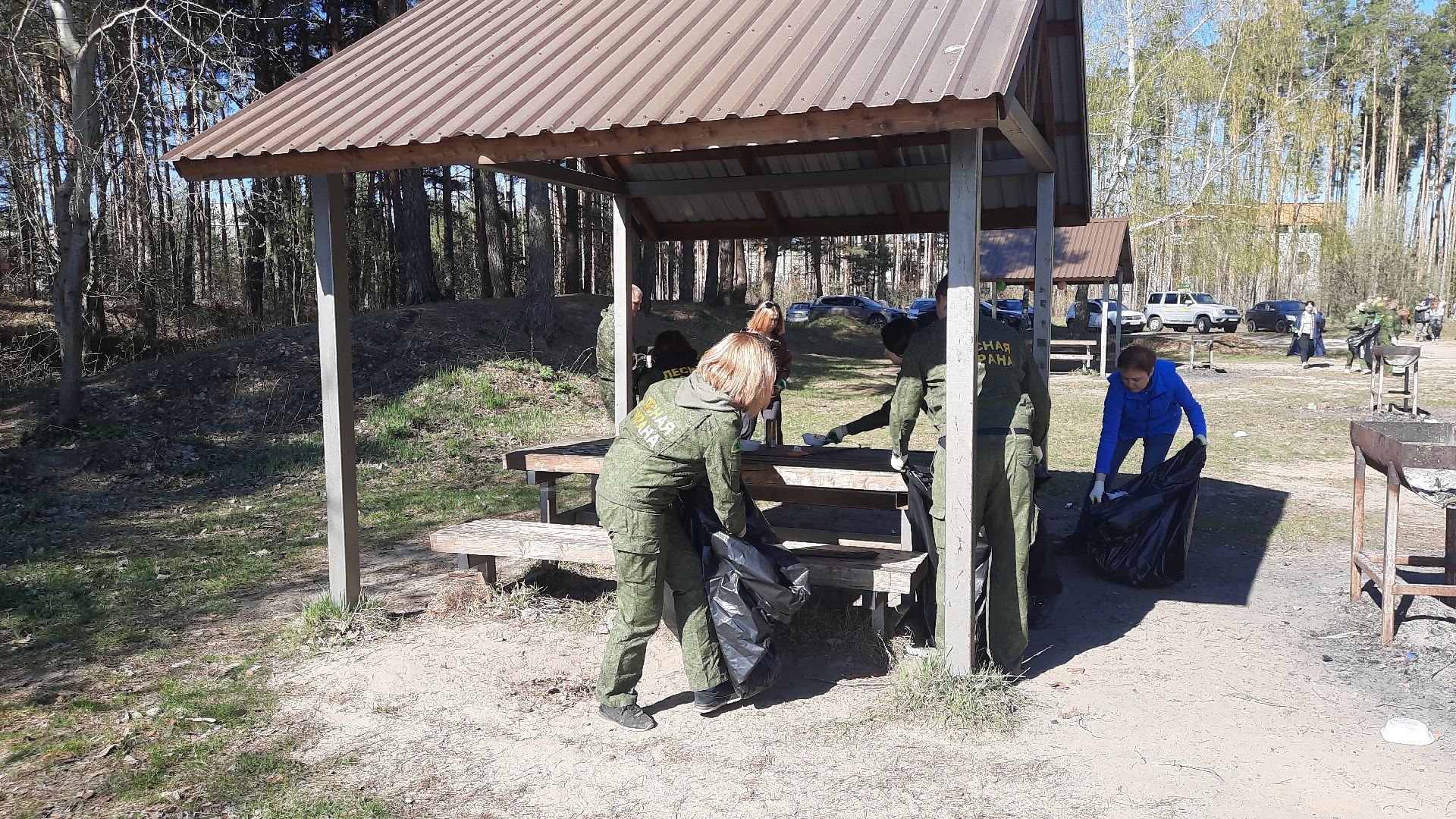 субботник, Мособллес, Вода России, Всероссийский субботник, директор ГКУ МО «Мособллес» Андрей Бобков