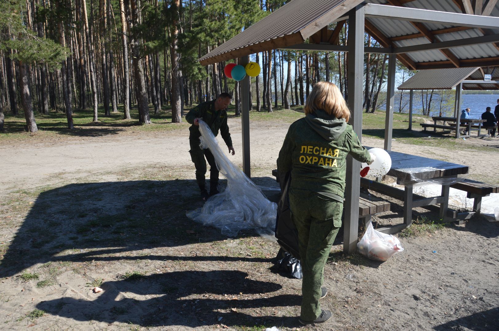 субботник, Мособллес, Вода России, Всероссийский субботник, директор ГКУ МО «Мособллес» Андрей Бобков
