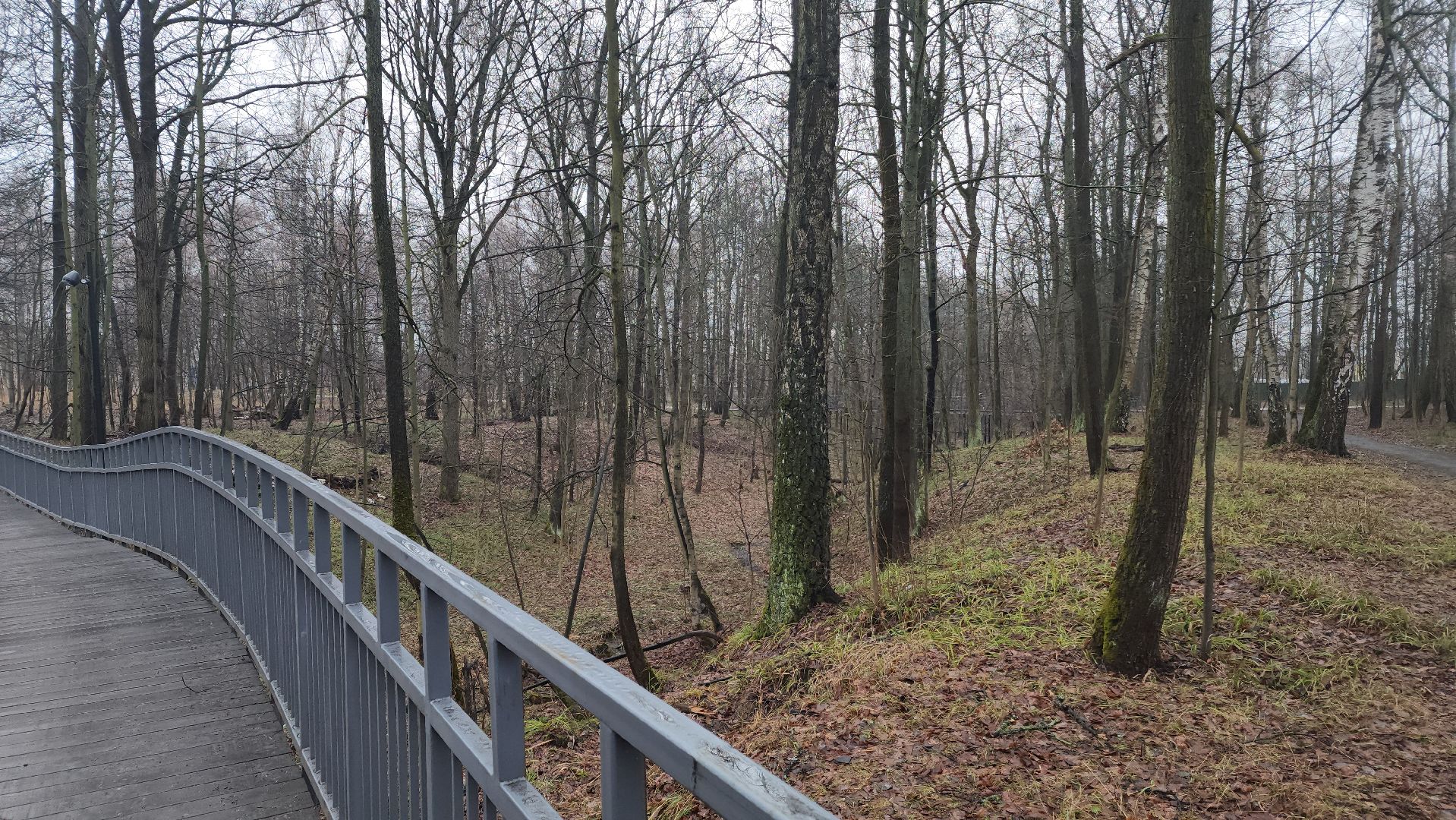 ступино, зима в подмомсковье, парки подмосковья,