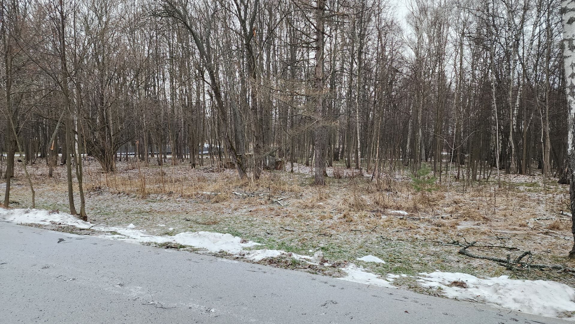 ступино, зима в подмомсковье, парки подмосковья,