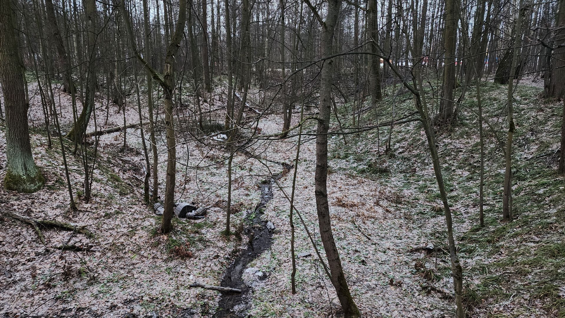 ступино, зима в подмомсковье, парки подмосковья,
