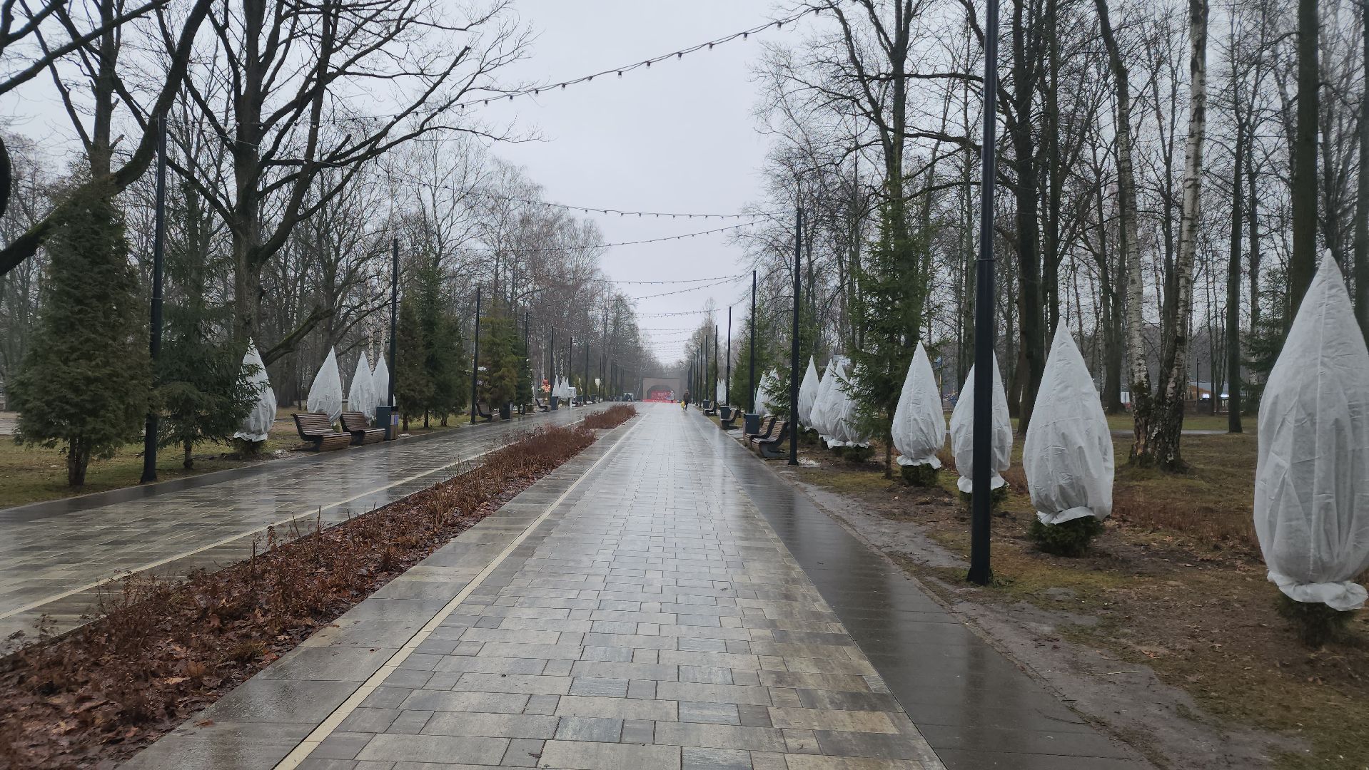 ступино, зима в подмомсковье, парки подмосковья,
